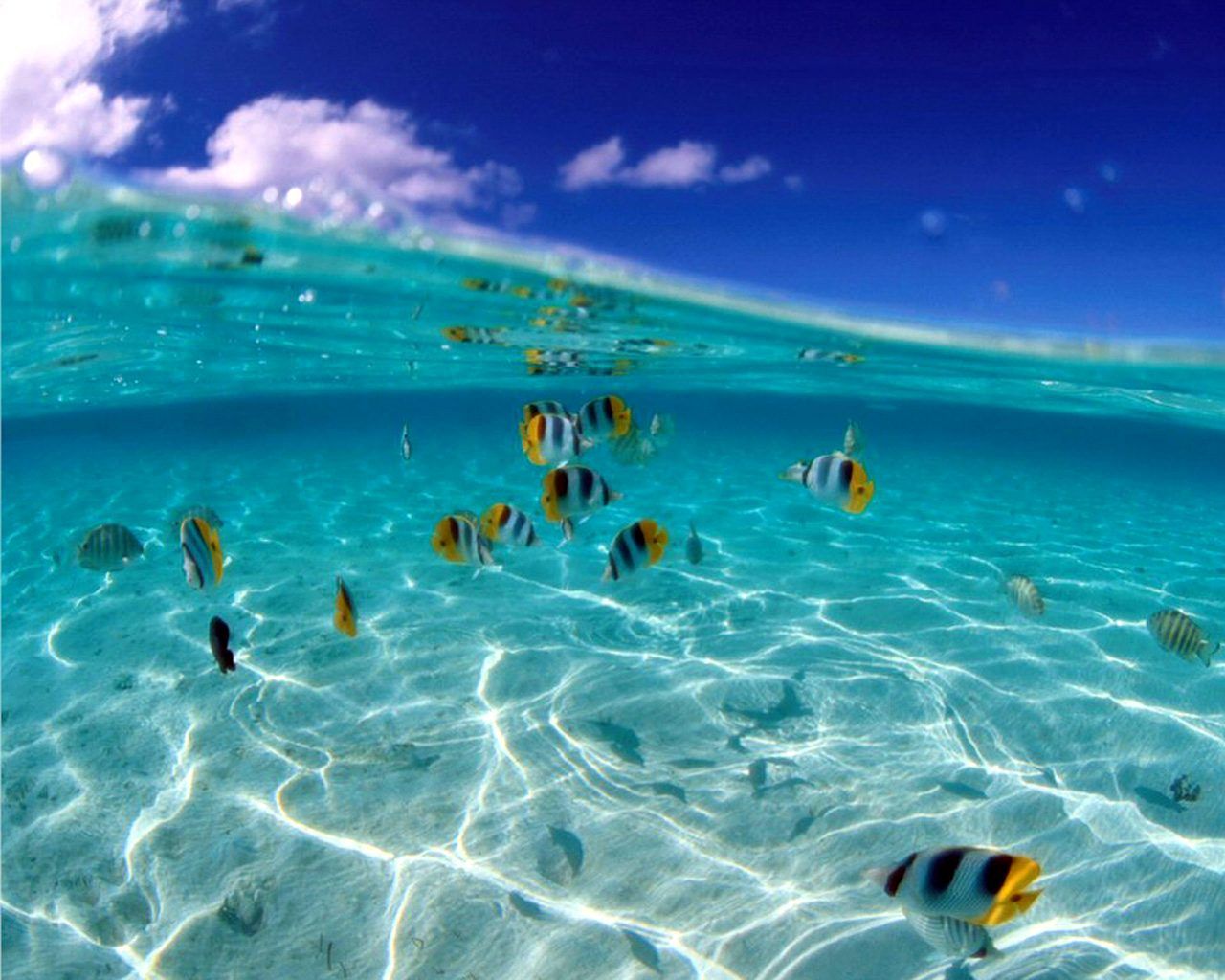 HDQ Beautiful Water Images & Wallpapers (Imágenes de la galería: 44)
