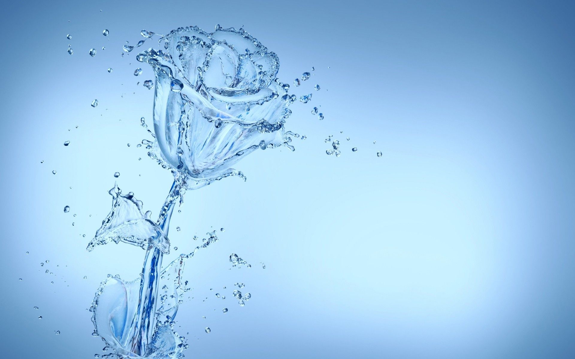 water wallpaper rose - Fondos de pantalla HD | 4k HD