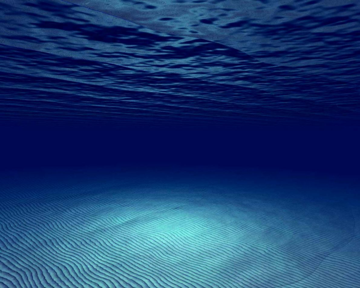Fondos submarinos | One plus Wallpapers