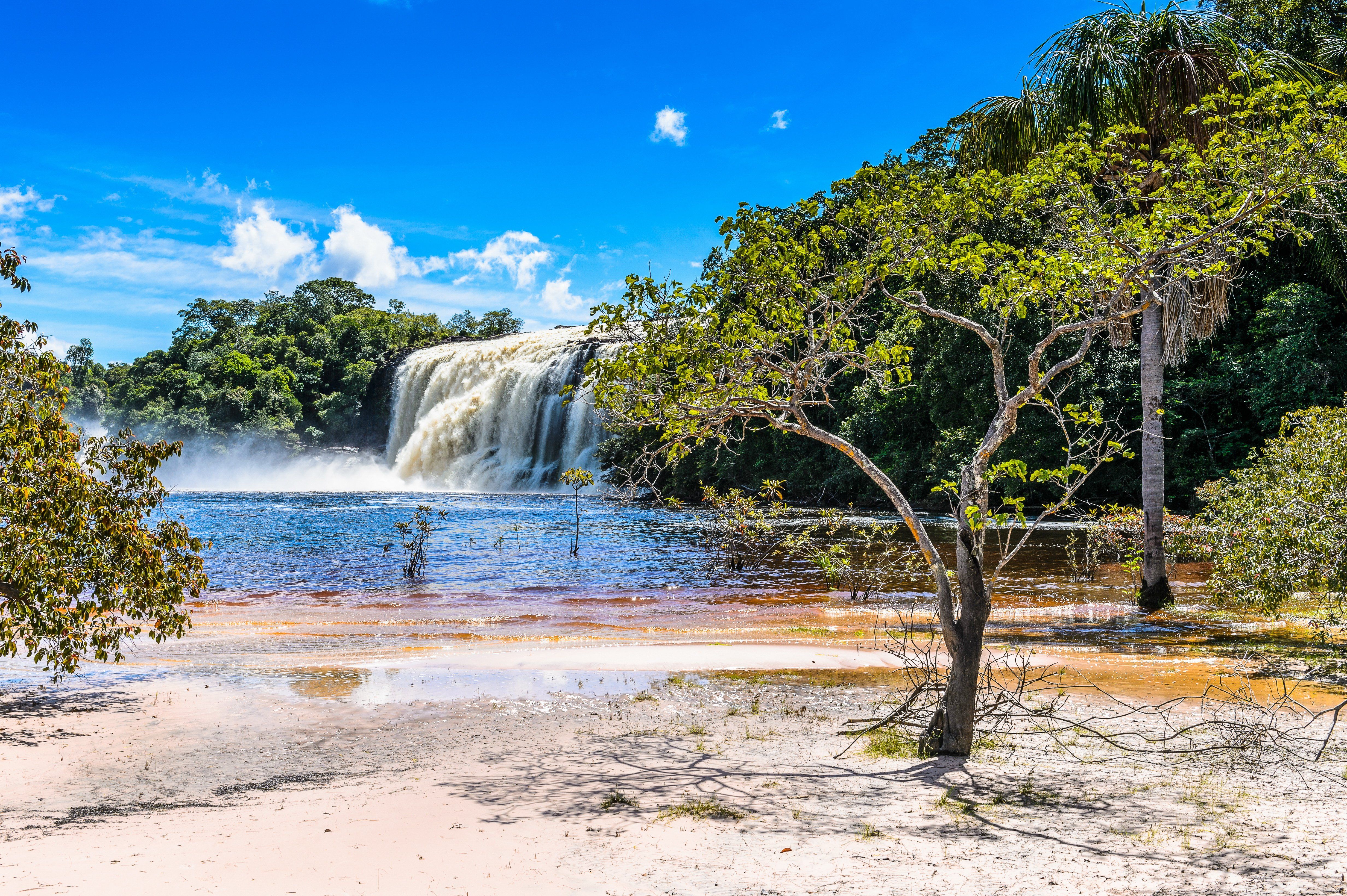 venezuela, ríos, cascadas, costa, parques, Canaima, naturaleza 4K HD