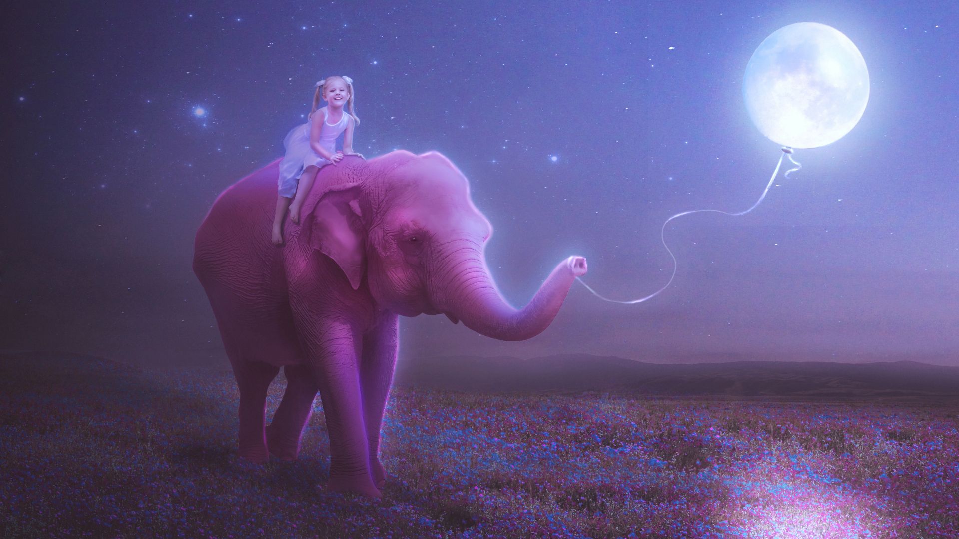 Fondos de elefante | Mejores fondos de pantalla