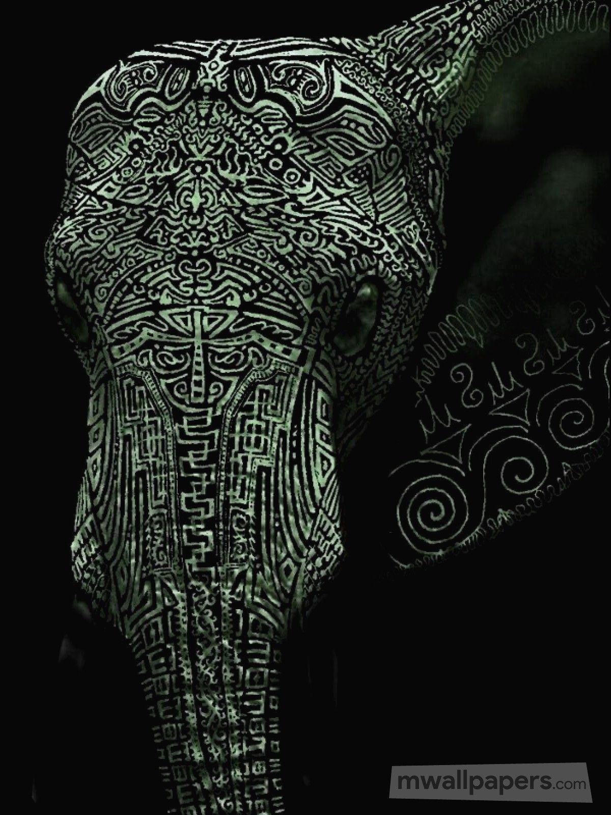 Fondo de pantalla de elefante 1200x1600