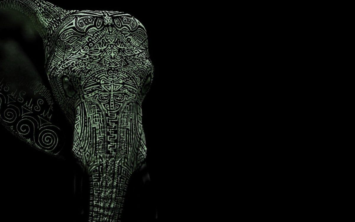 317 fondos de pantalla de elefante | Fondos de elefantes Página 7