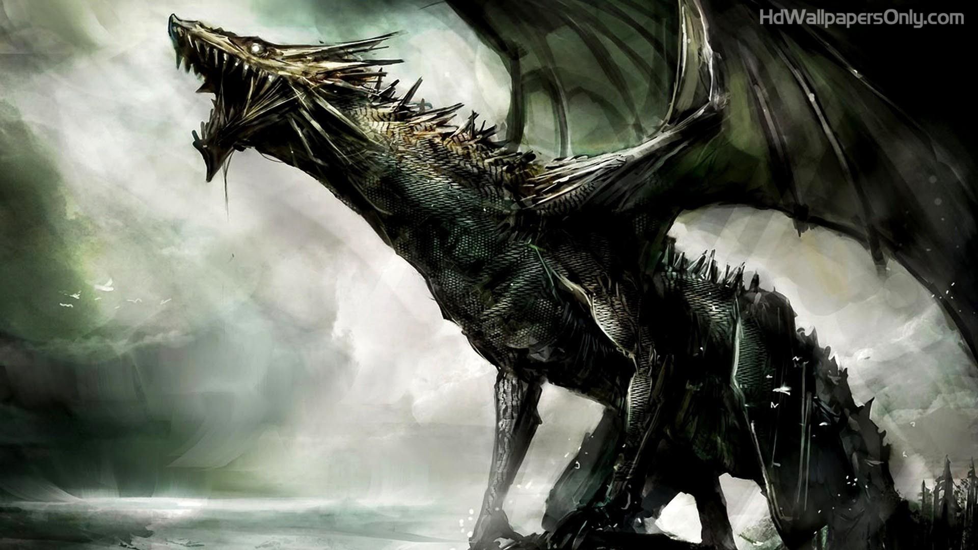 Más de 70 fondos de pantalla de Black Dragon