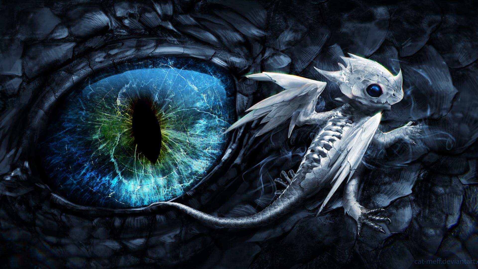 Más de 35 fondos de pantalla de Baby Blue Dragon - Descarga