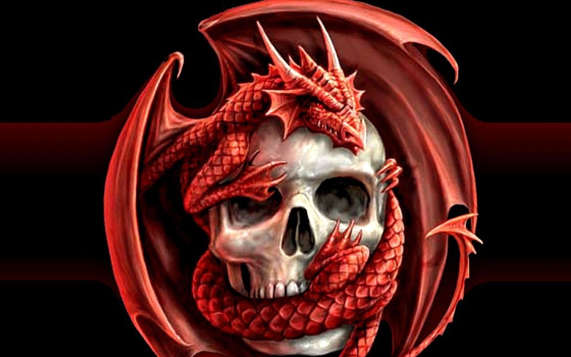 Imágenes gratis de nuevos dragones en tu escritorio