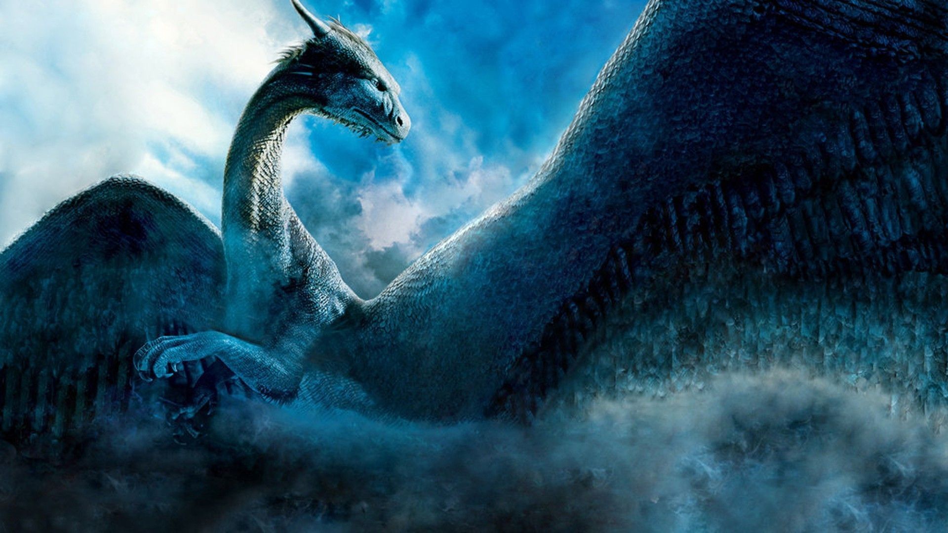 White Dragon Wallpapers (más de 72 imágenes de fondo)