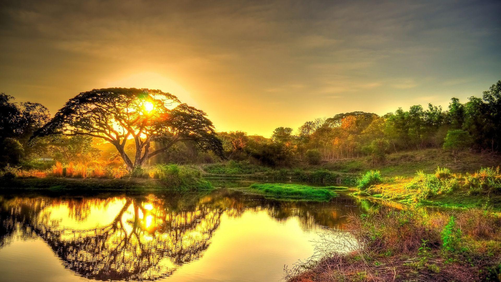 Paisaje Wallpapers 1080p