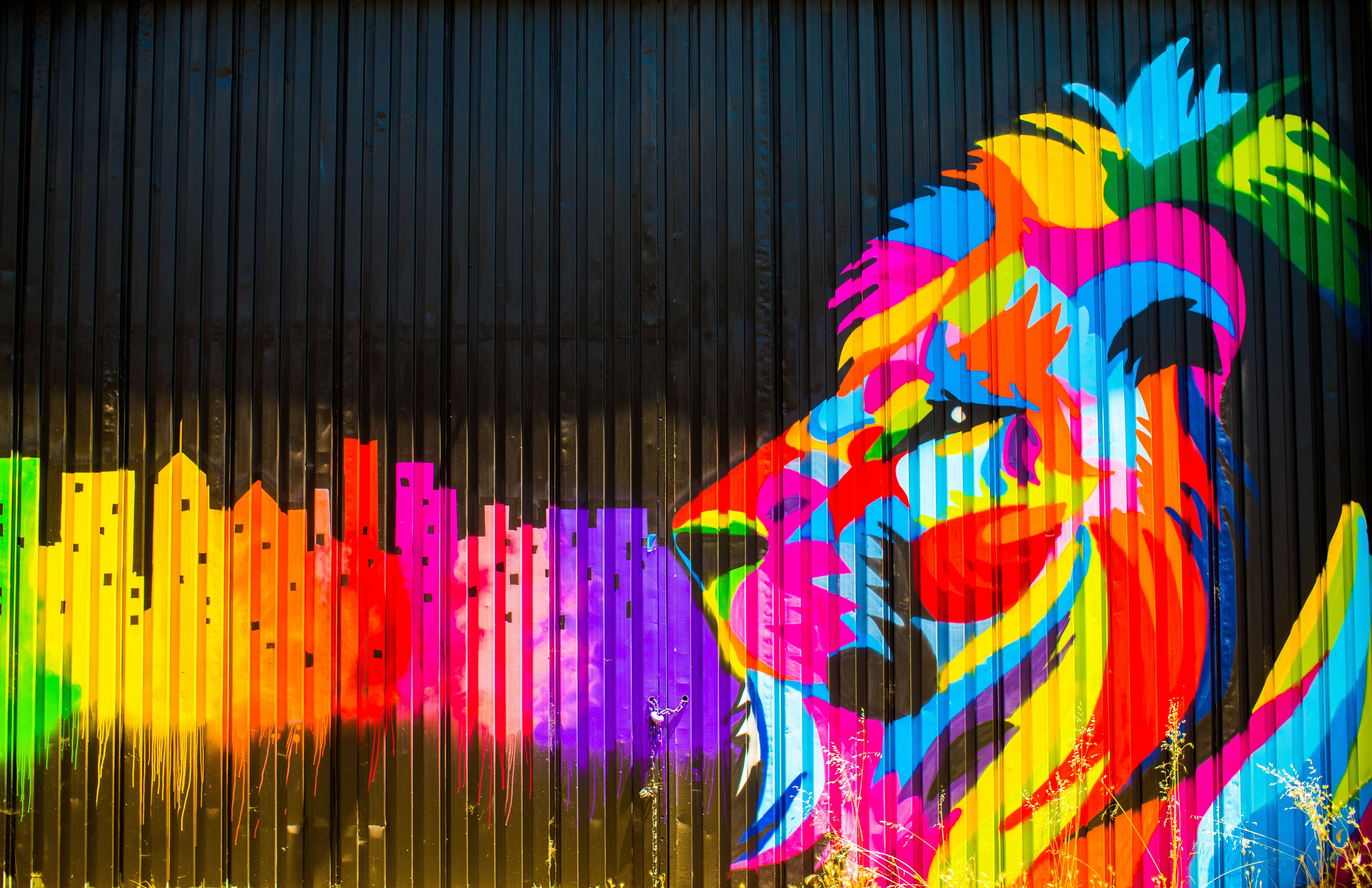 Lion Graffiti 5k, artista HD, fondos de pantalla 4k, imágenes, fondos