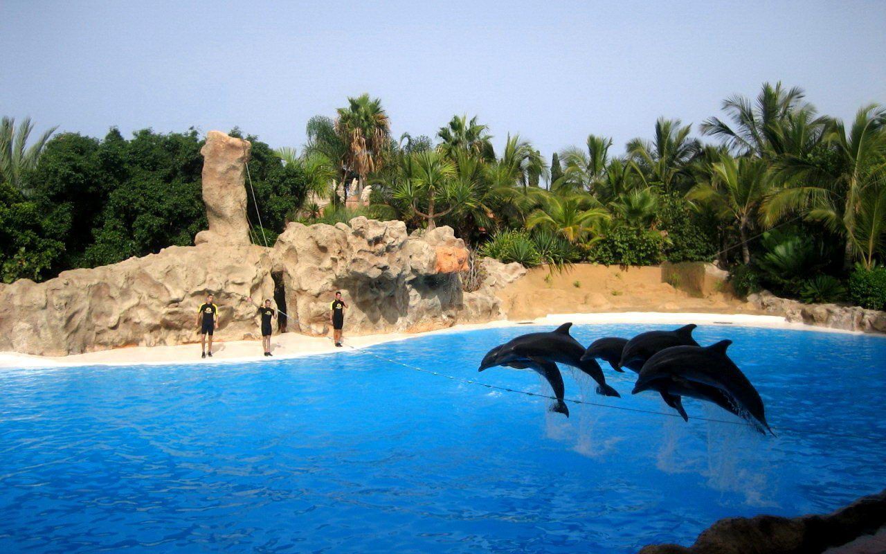 Tenerife Wallpapers - HD Wallpapers