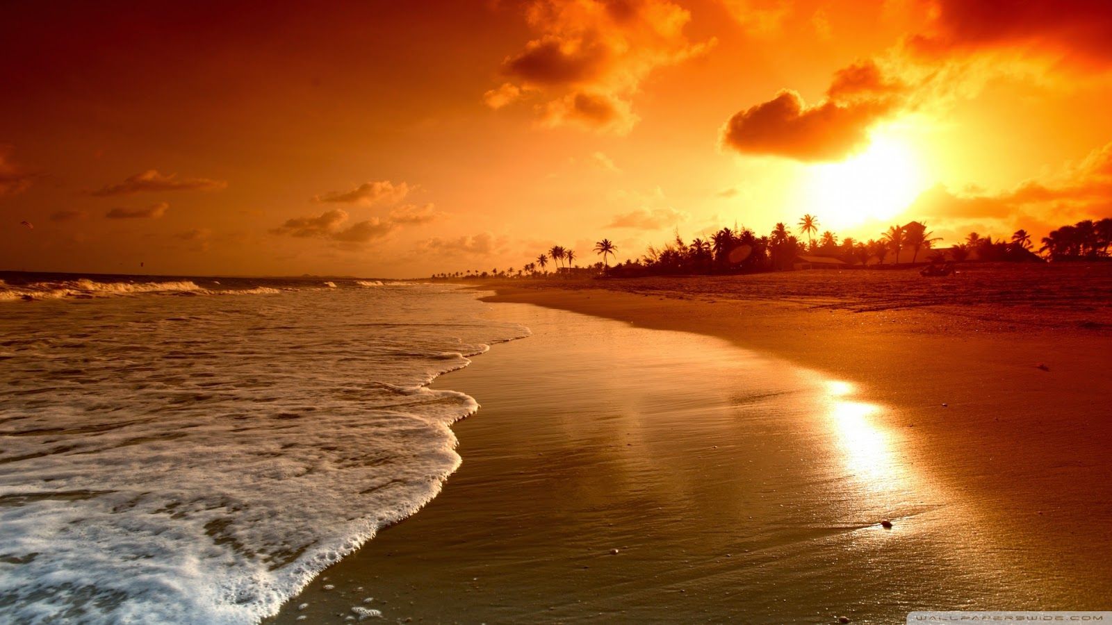 Playa del amanecer | Dive Tenerife