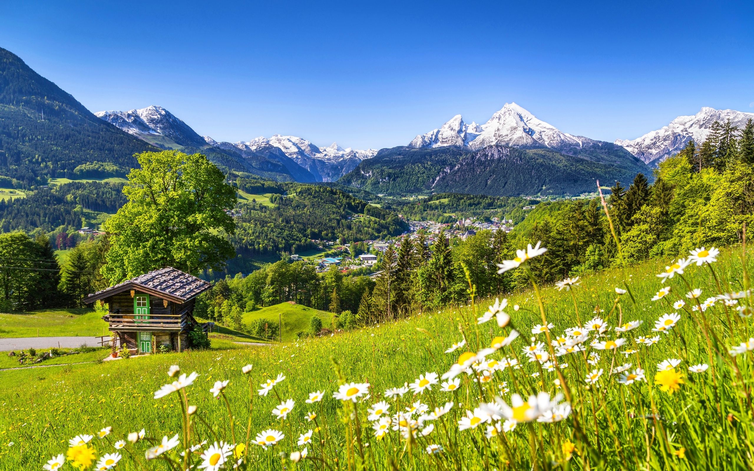 Paisaje de montaña Wallpaper | 2560x1600 | ID: 62225
