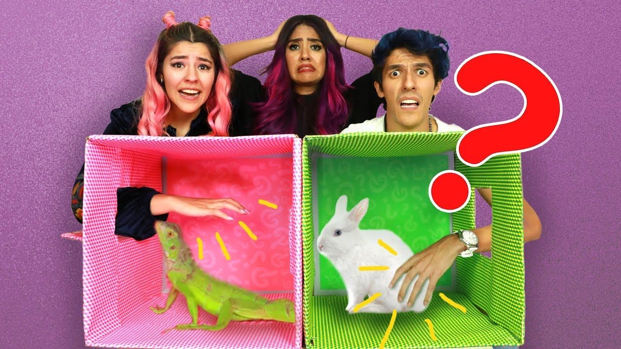 ¿QUÉ HAY EN LA CAJA? El | DESAFÍO POLINESIO | LOS POLINESIOS