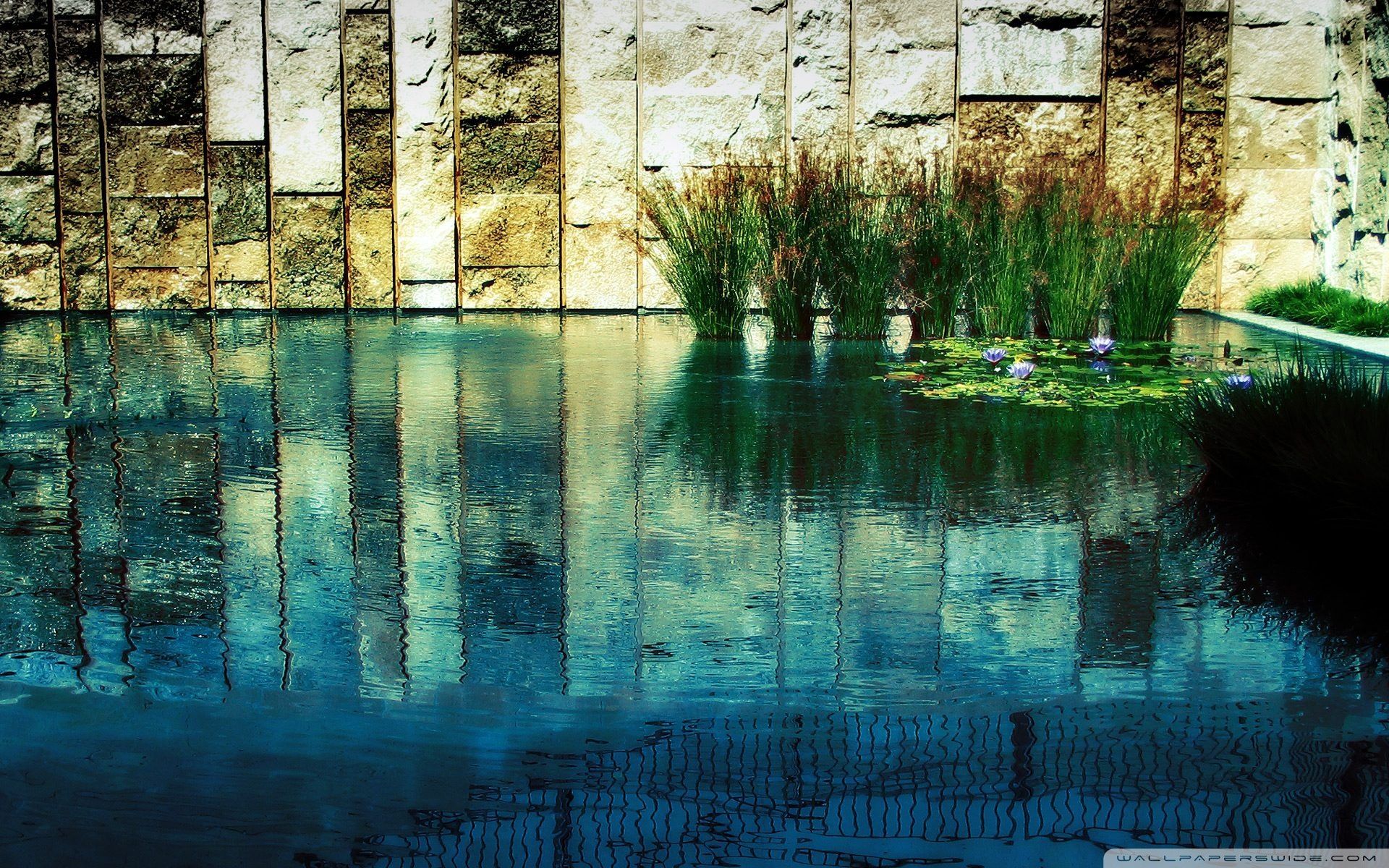 Zen Wallpaper descarga gratis en digitalimagemakerworld.com