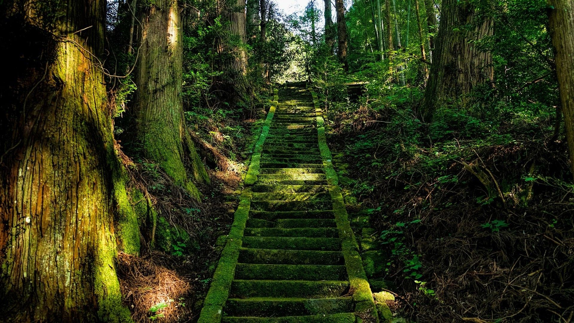 Fondo de pantalla de Zen Temple