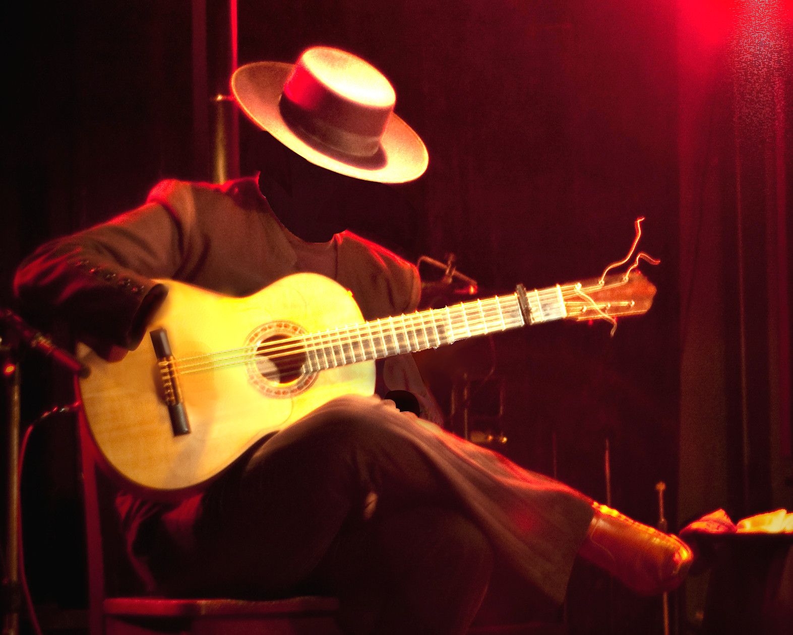 Fondos de flamenco 1573x1261 px, # TC98C1O | Wallperio.com ™