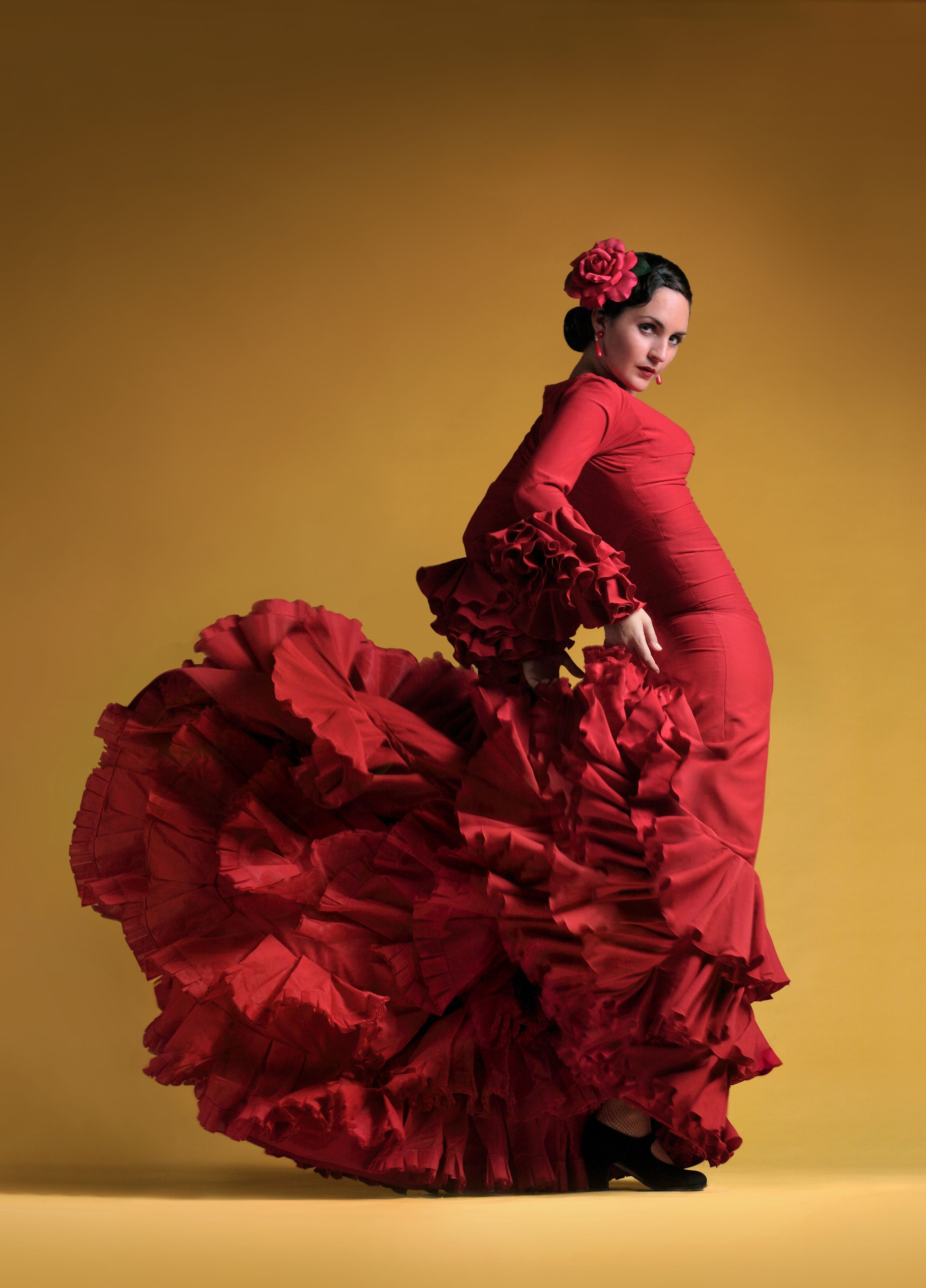 Mejor fondo de pantalla de la Tierra: Flamenco, 355575, Tierra