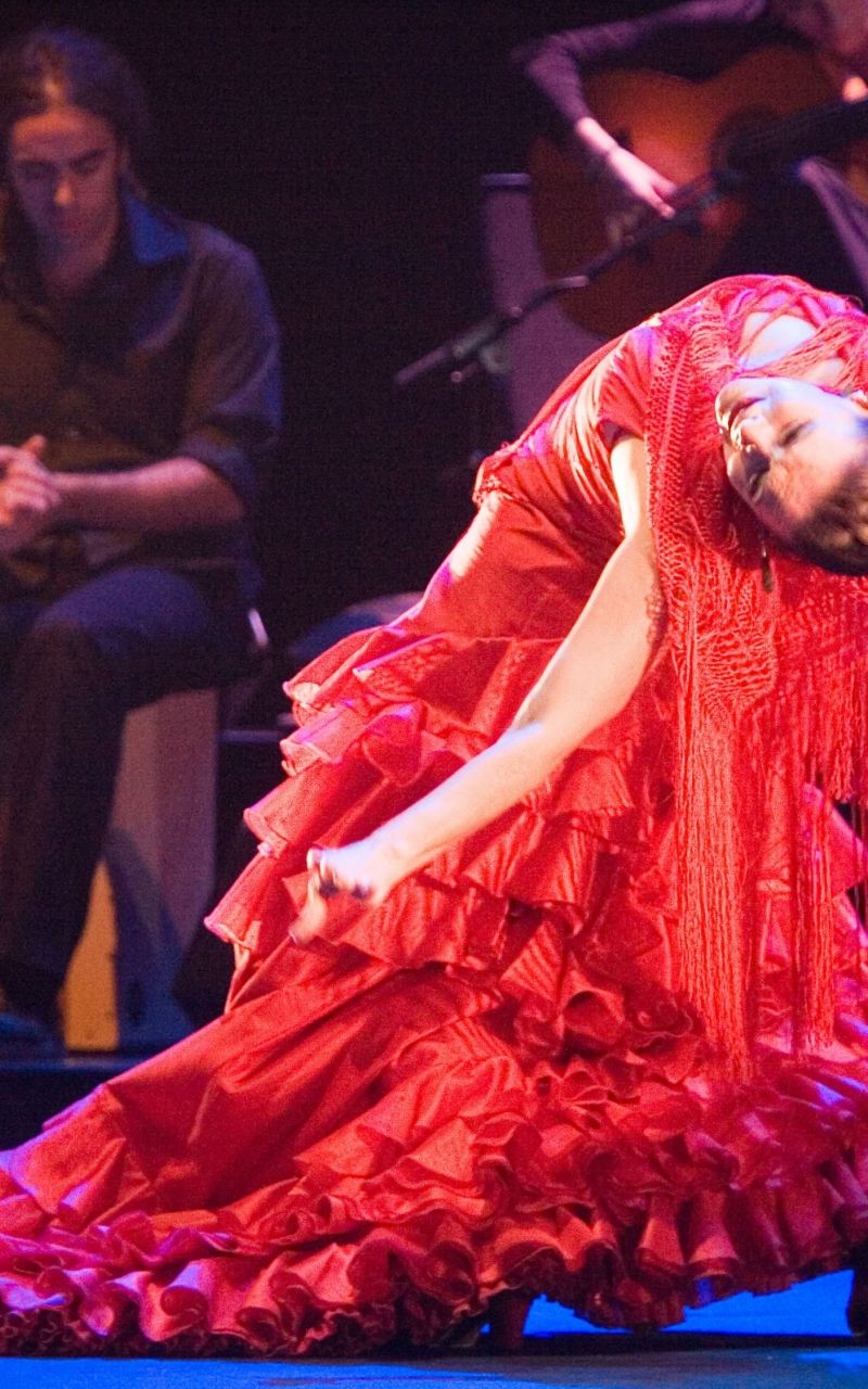 Descargar gratis Flamenco Wallpaper Art Print Poster Desktop Wallpapers
