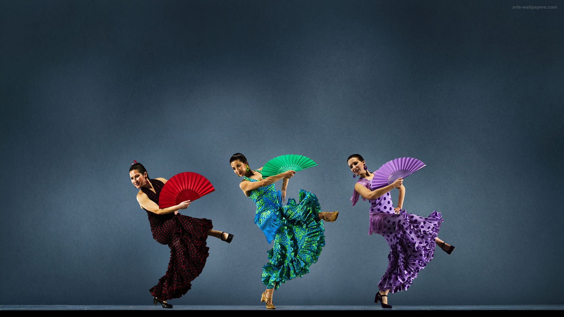 Flamenco - fondo de pantalla de flamenco (29464561) - fanpop