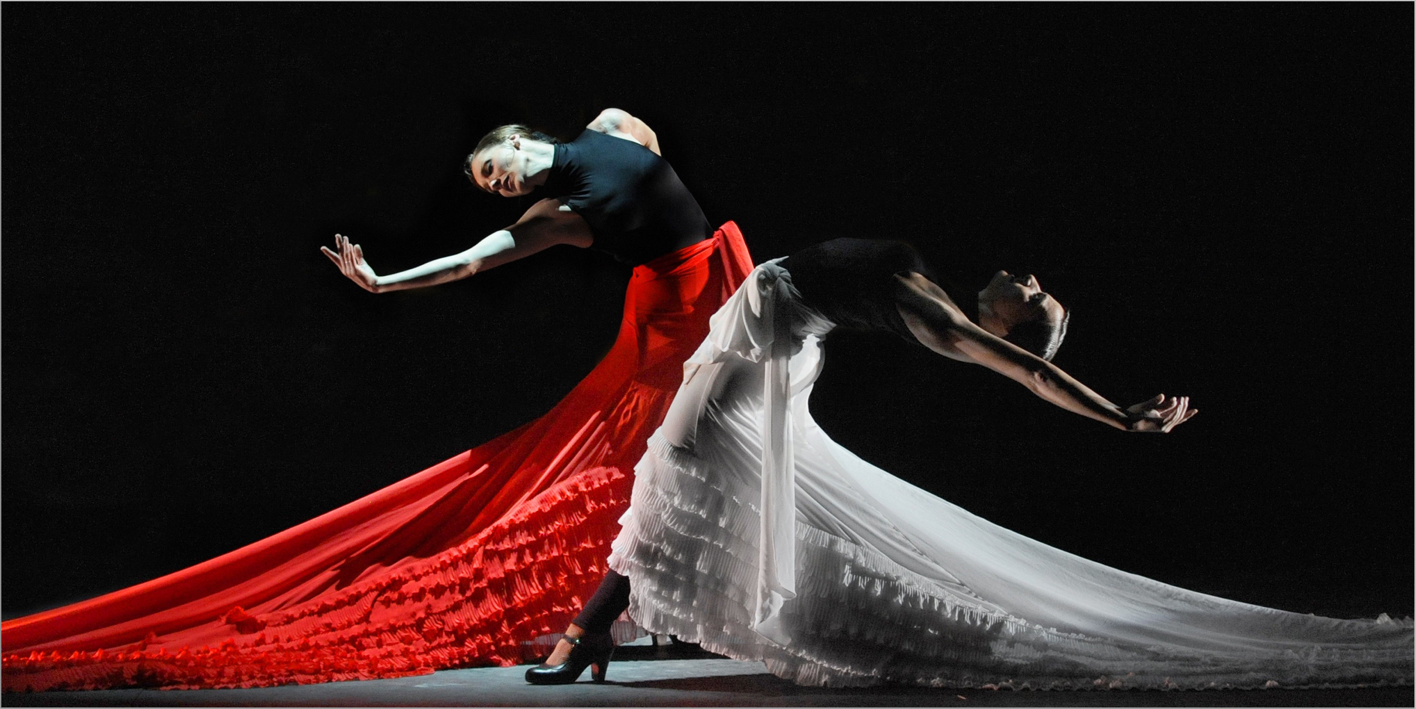 Fondos de Flamenco # 7O52KV2 | Wallperio.com ™