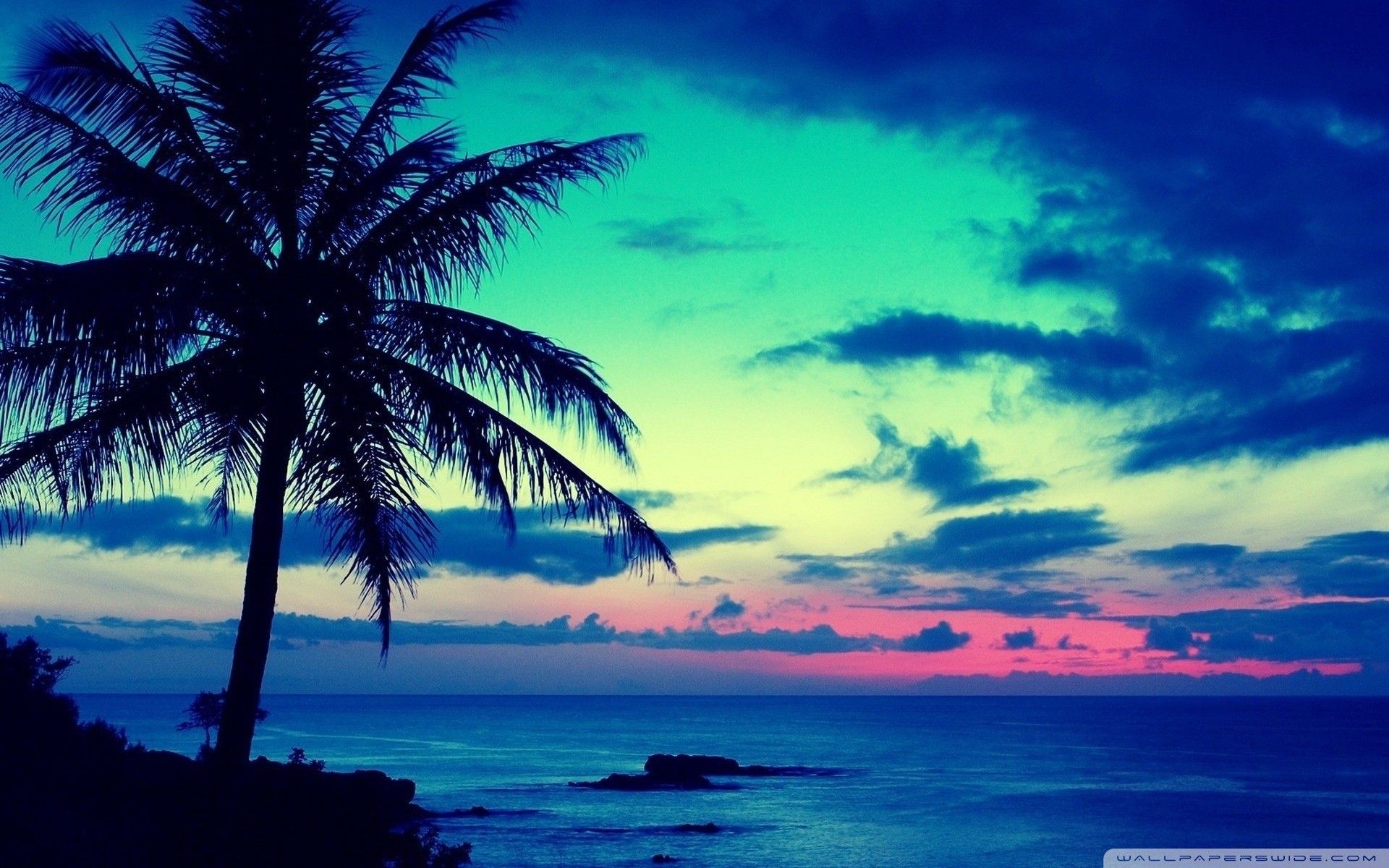 Más de 63 fondos de pantalla tropicales