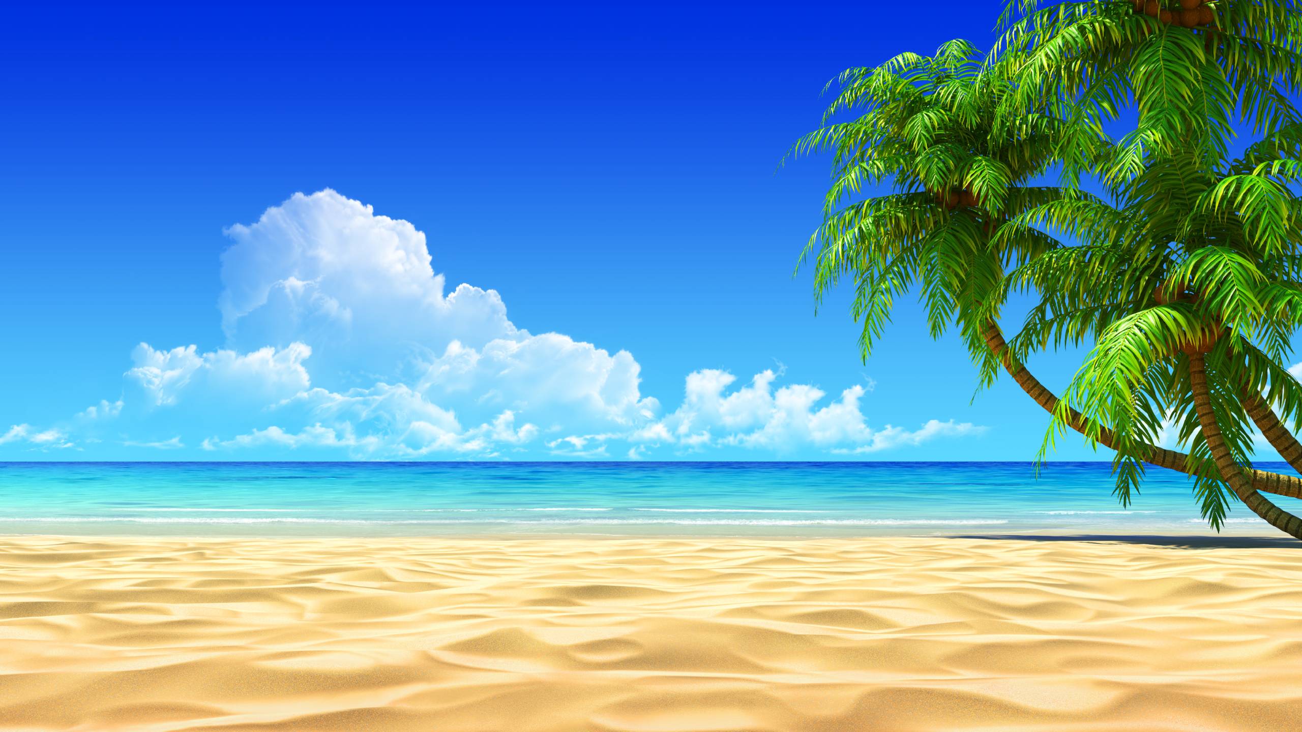 Fondos de pantalla tropicales Full HD # HZPMC16 - 4USkY