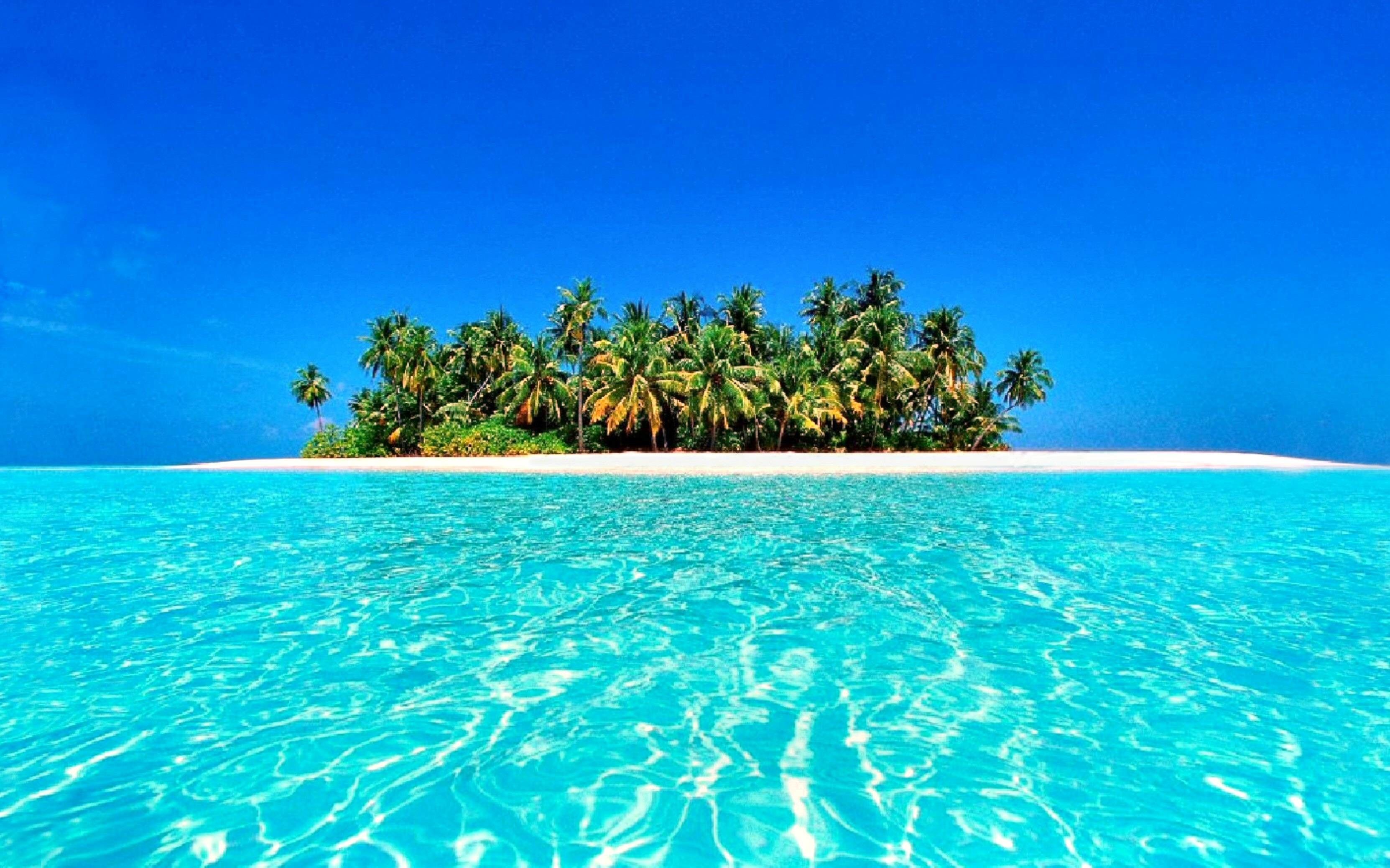 Fondo de pantalla tropical (64+ imágenes)