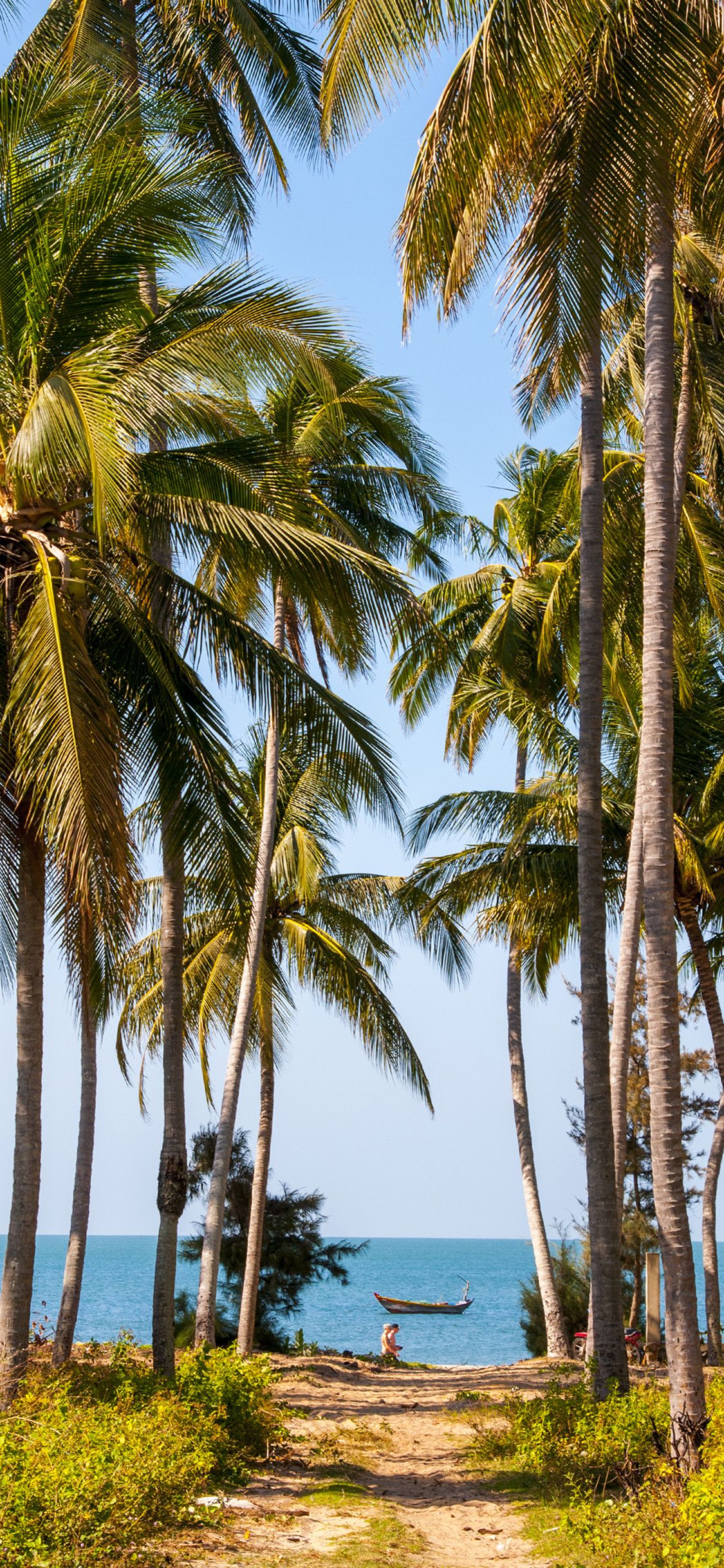 colección de fondos de pantalla tropical para iPhone