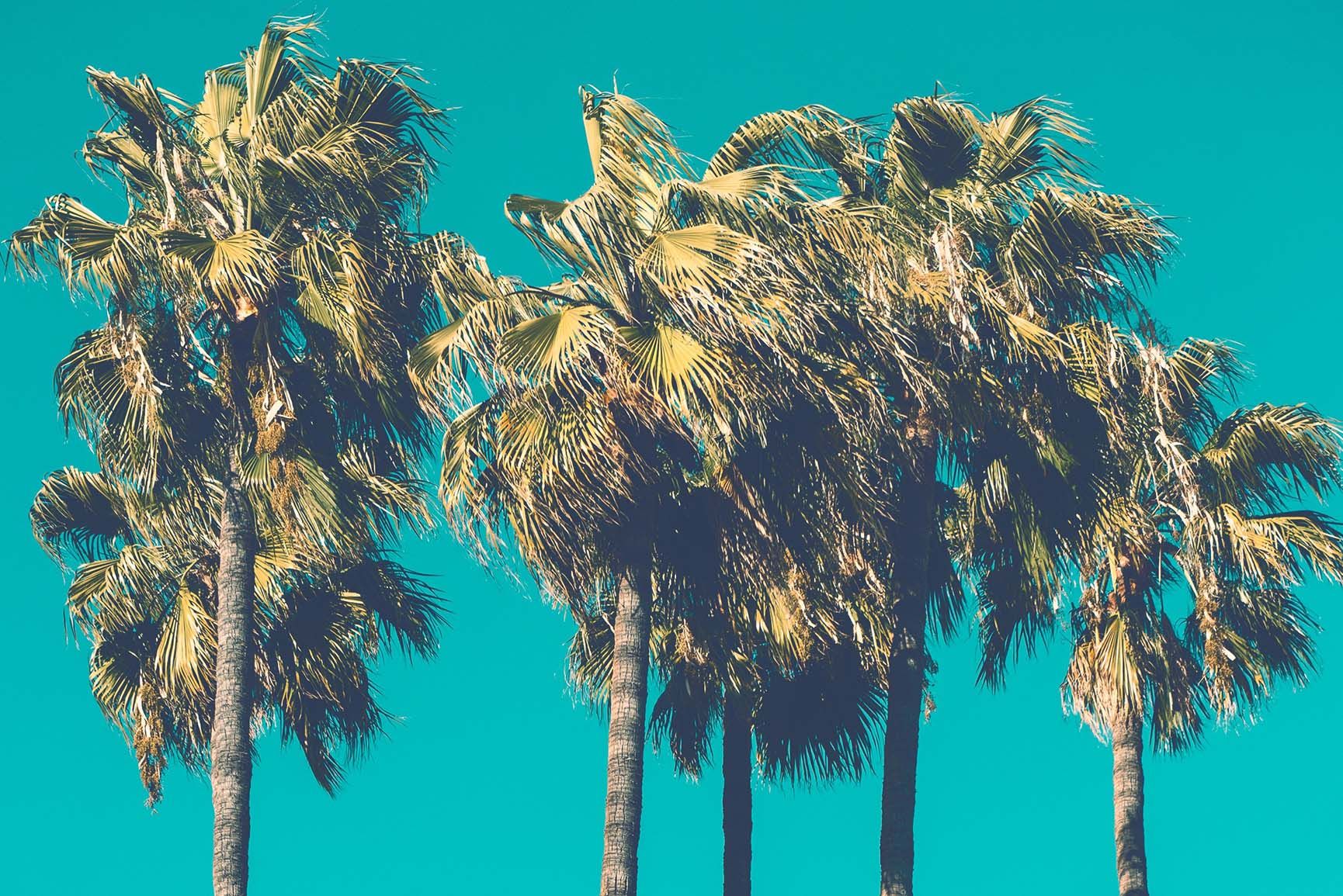 Fondo de pantalla de  1730x1155