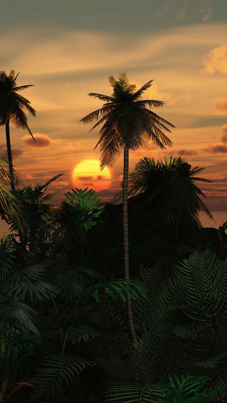 Fondos de 30 HD Tropical Beach iPhone