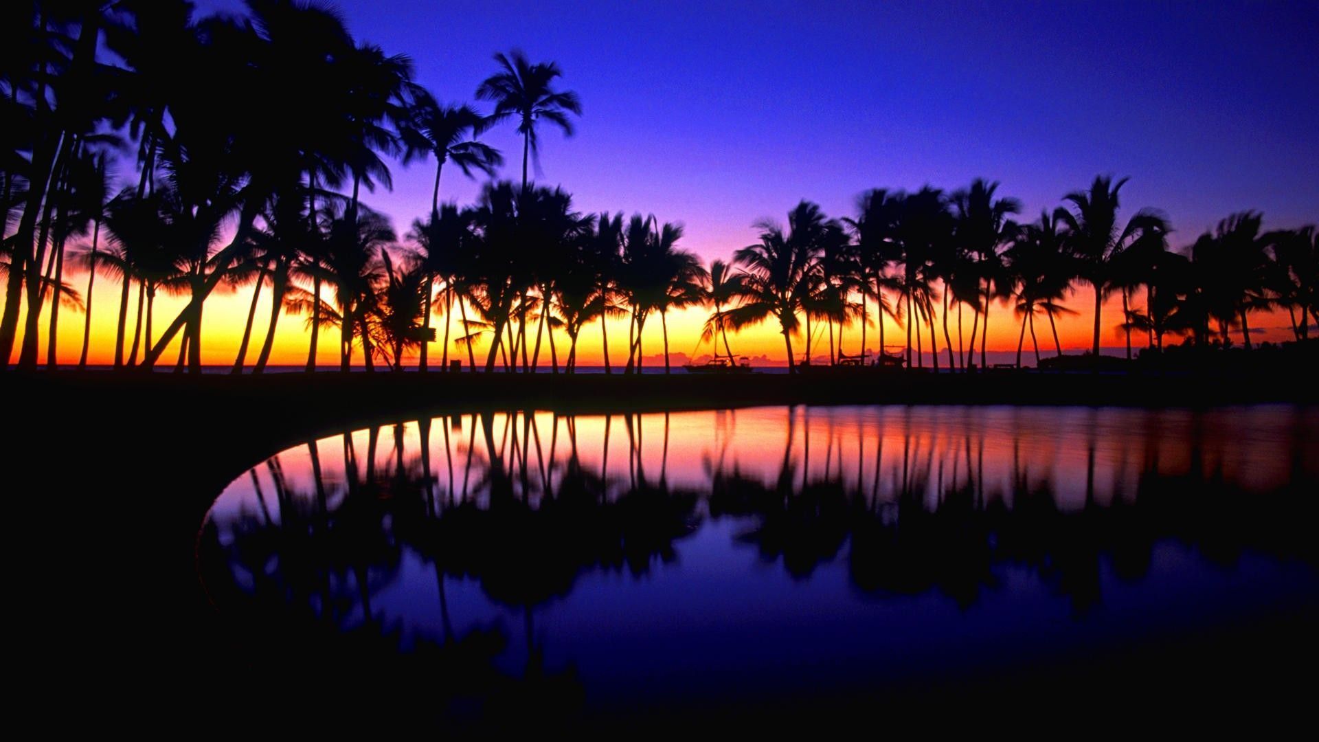 Fondos de pantalla tropical 1080p # GM7ME55 | WallpapersExpert.com