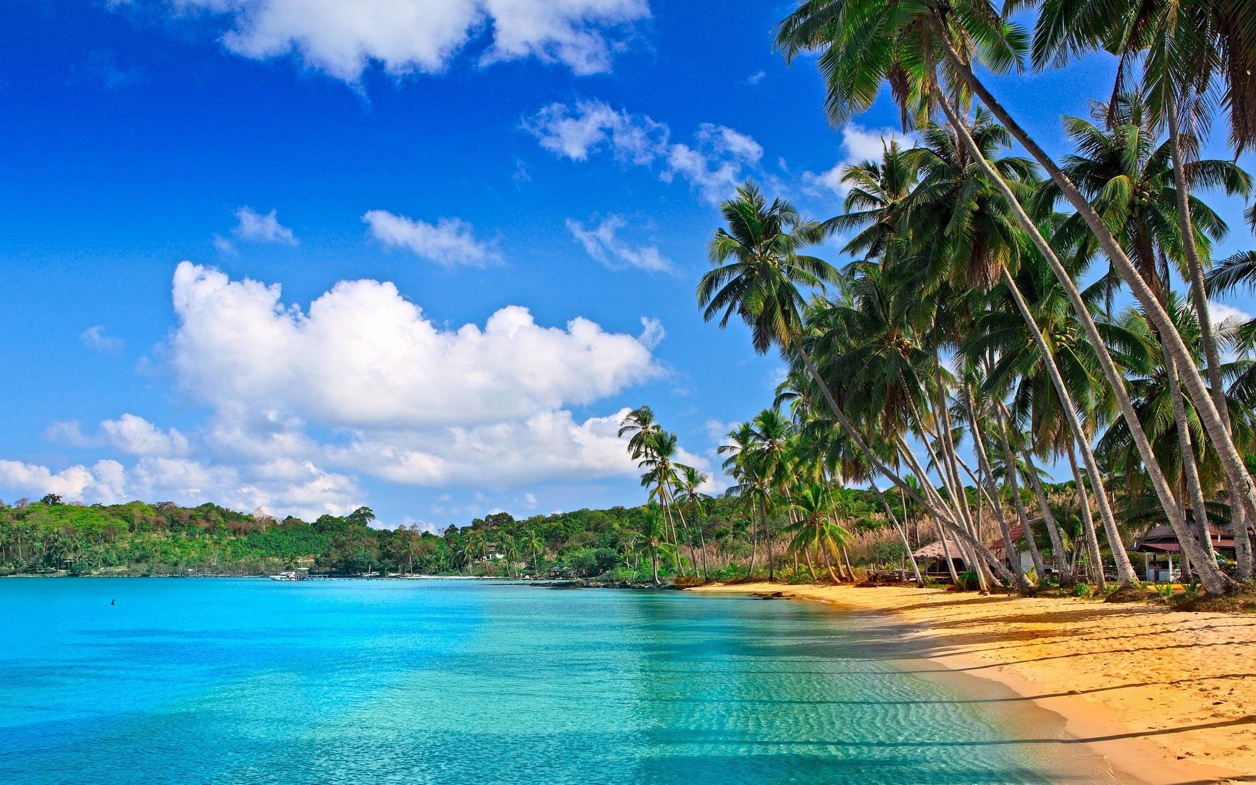 Tropical Desktop Wallpaper (más de 75 imágenes)