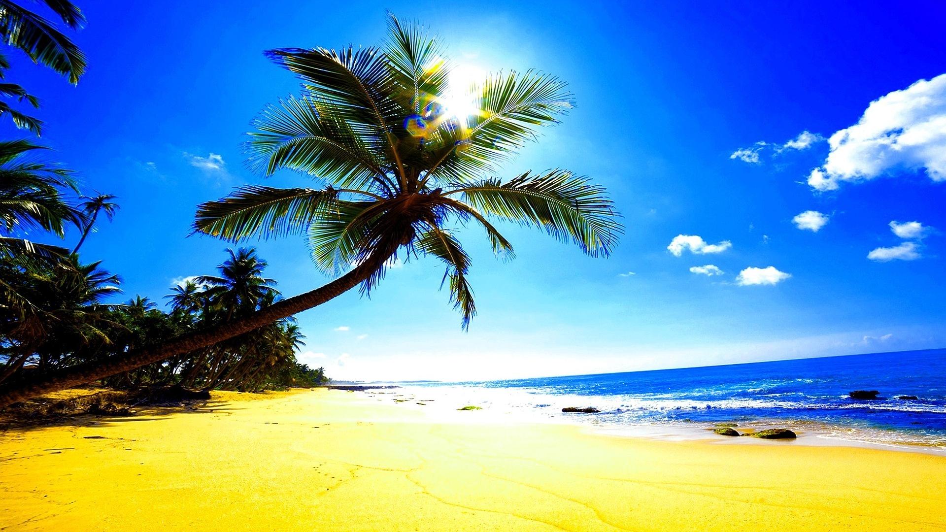 Fondo de pantalla tropical 1920x1080