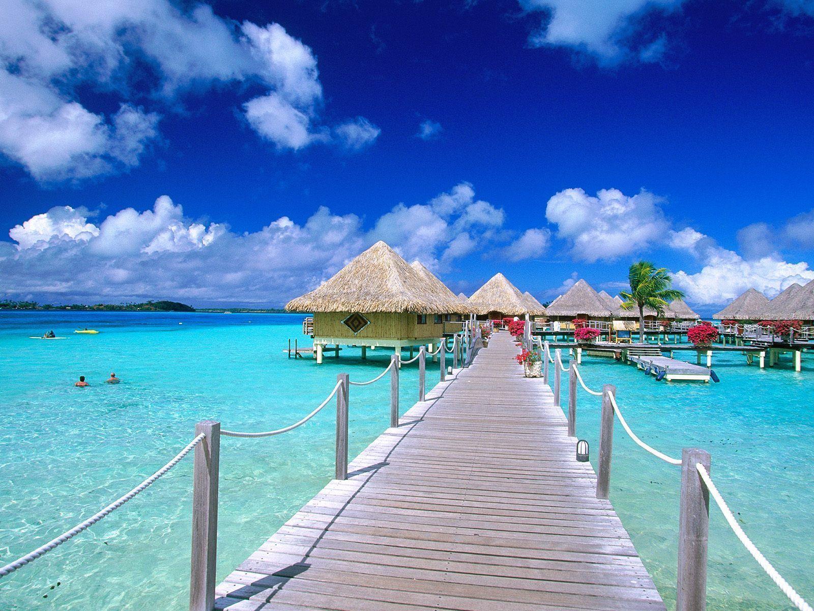 Tropical Wallpapers Desktop