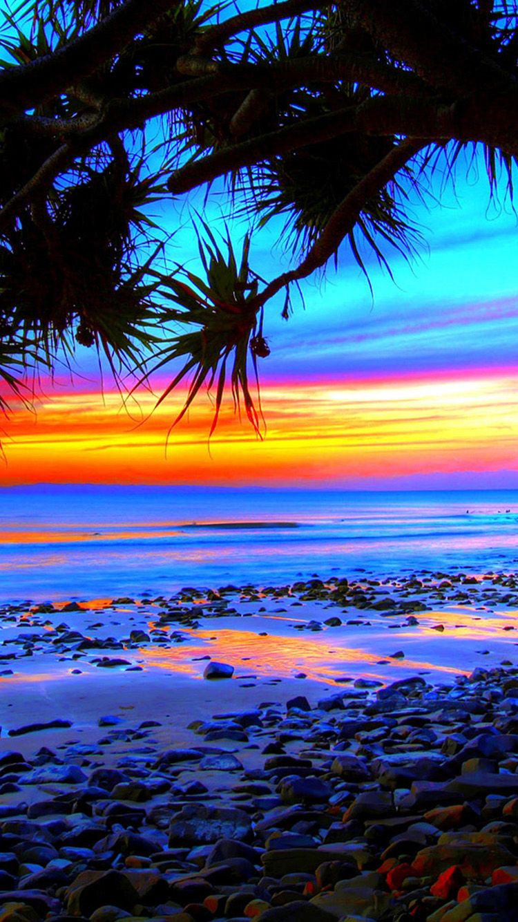 fondo de pantalla tropical 750x1334