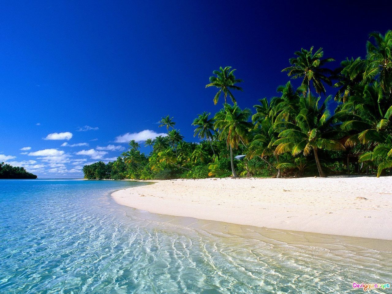 Hermoso fondo de pantalla tropical | 1280x960 | # 8284