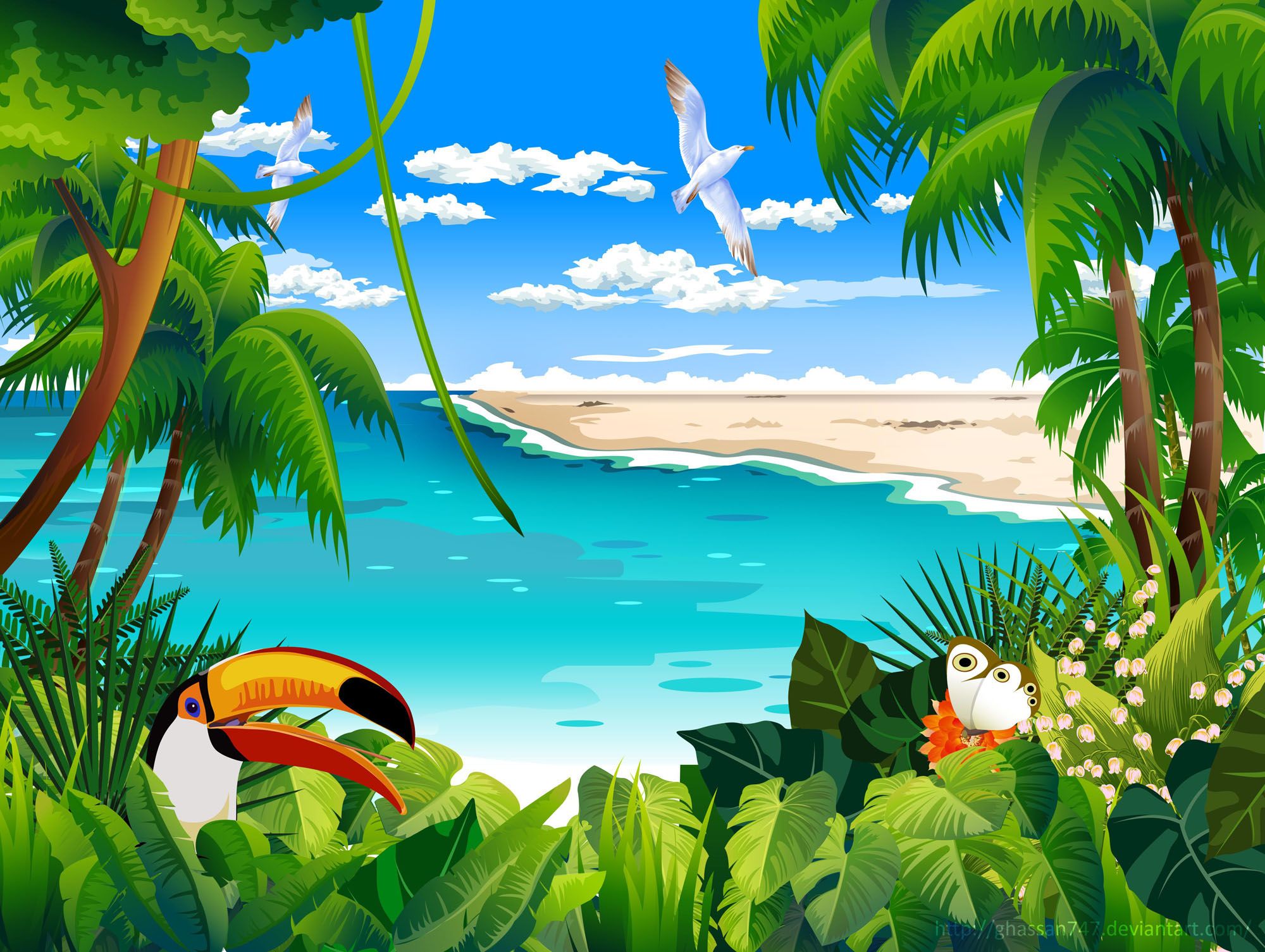 Fondos de pantalla tropical 2000x1505