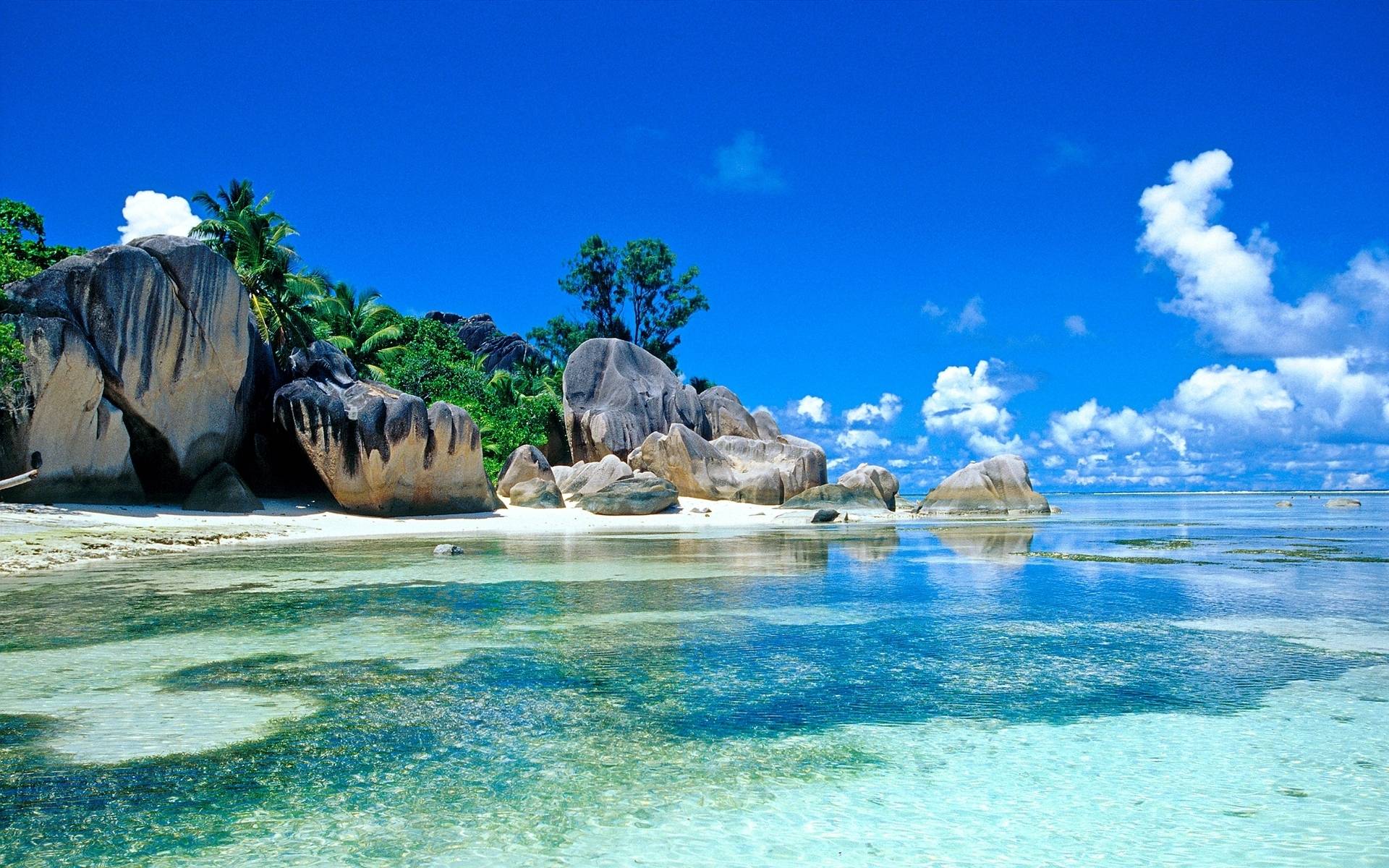 Más de 70 fondos de pantalla de computadora tropical - Descarga