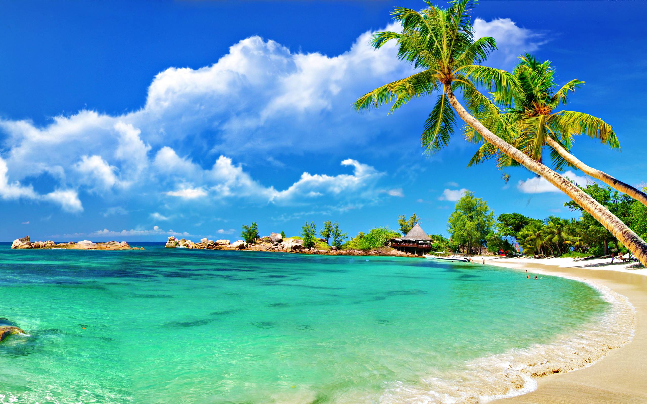 Descargar gratis Superior Wallpapers, 24 fondos de pantalla tropicales de alta calidad
