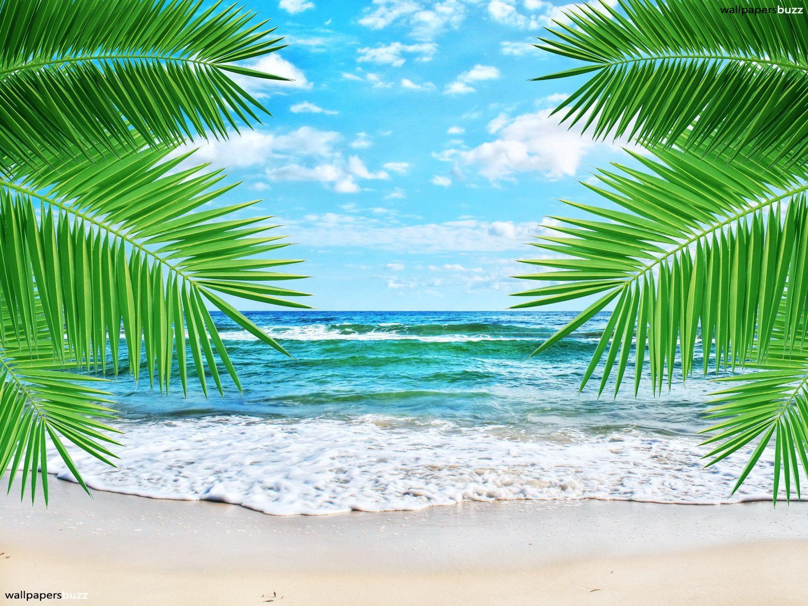 Tropical Hd Wallpaper (más de 48 imágenes)