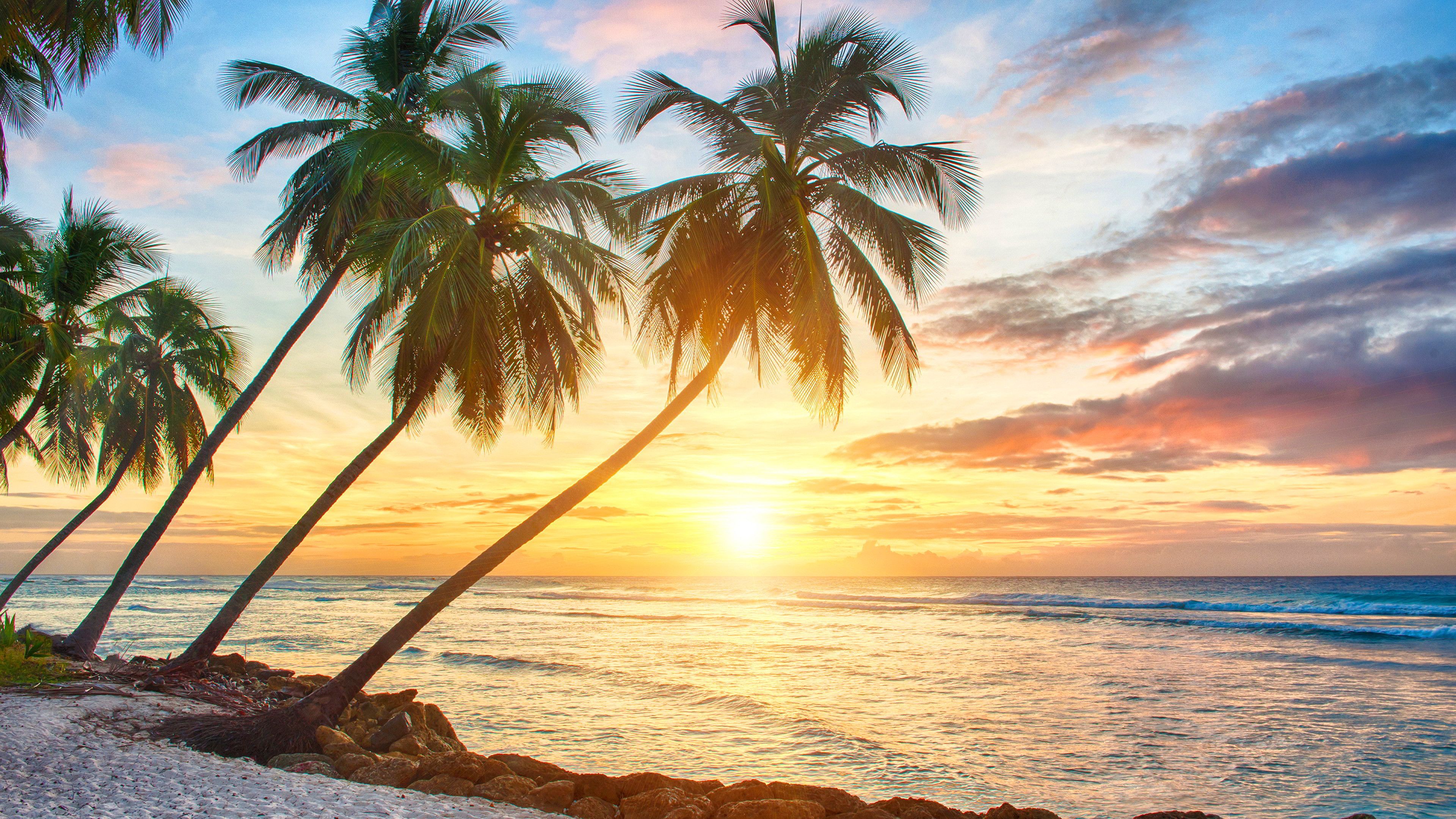 Tropical Beach Wallpapers Desktop (más de 68 imágenes de fondo)