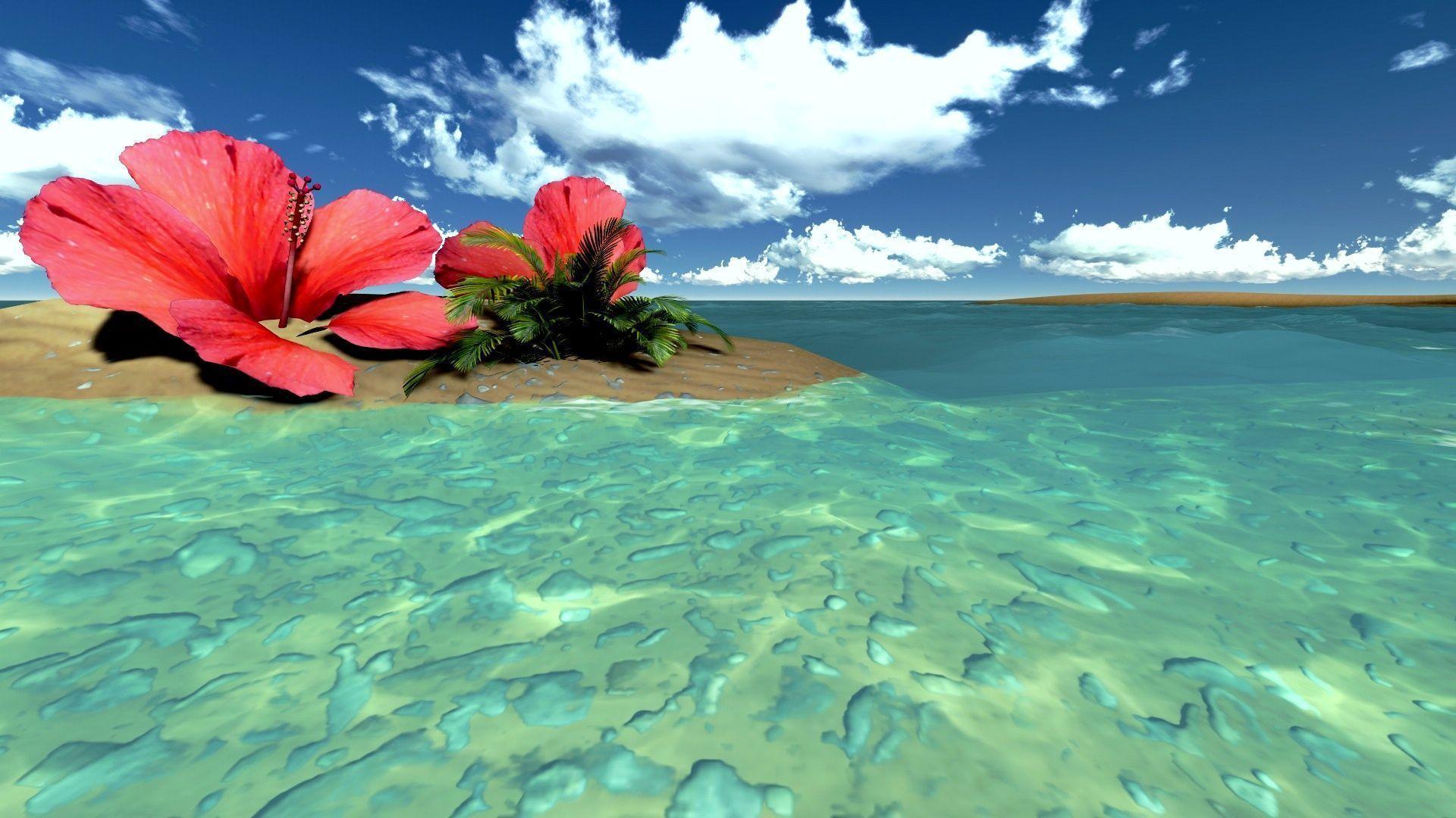 18402 fondos de pantalla de tropical gratis