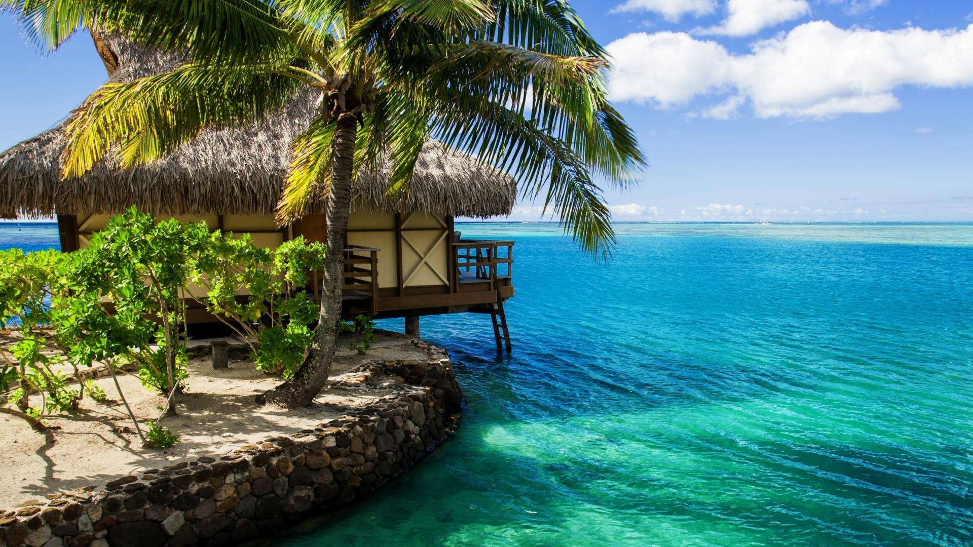 Fondo de pantalla tropical 1920x1080