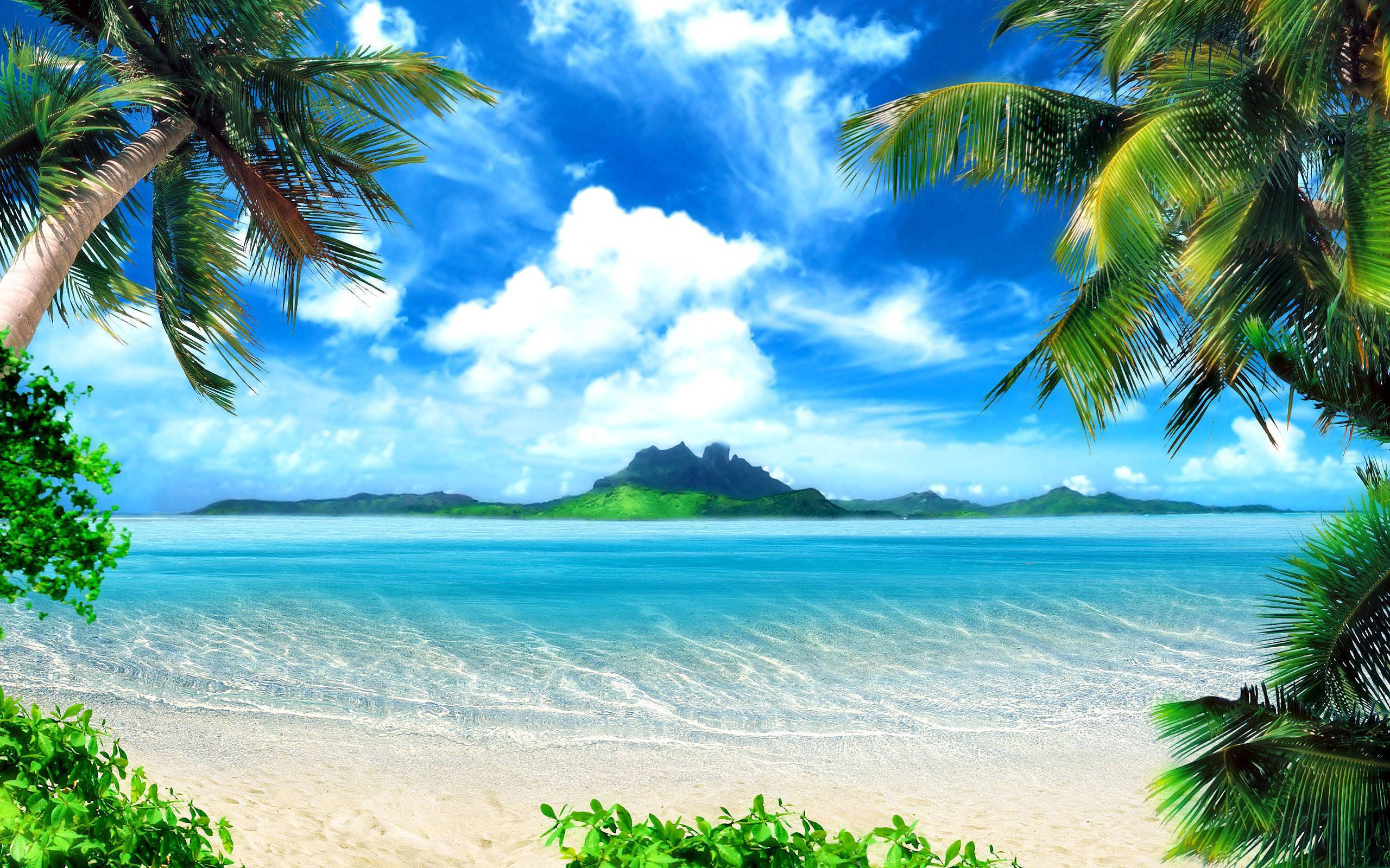 Galería de salvapantallas tropicales