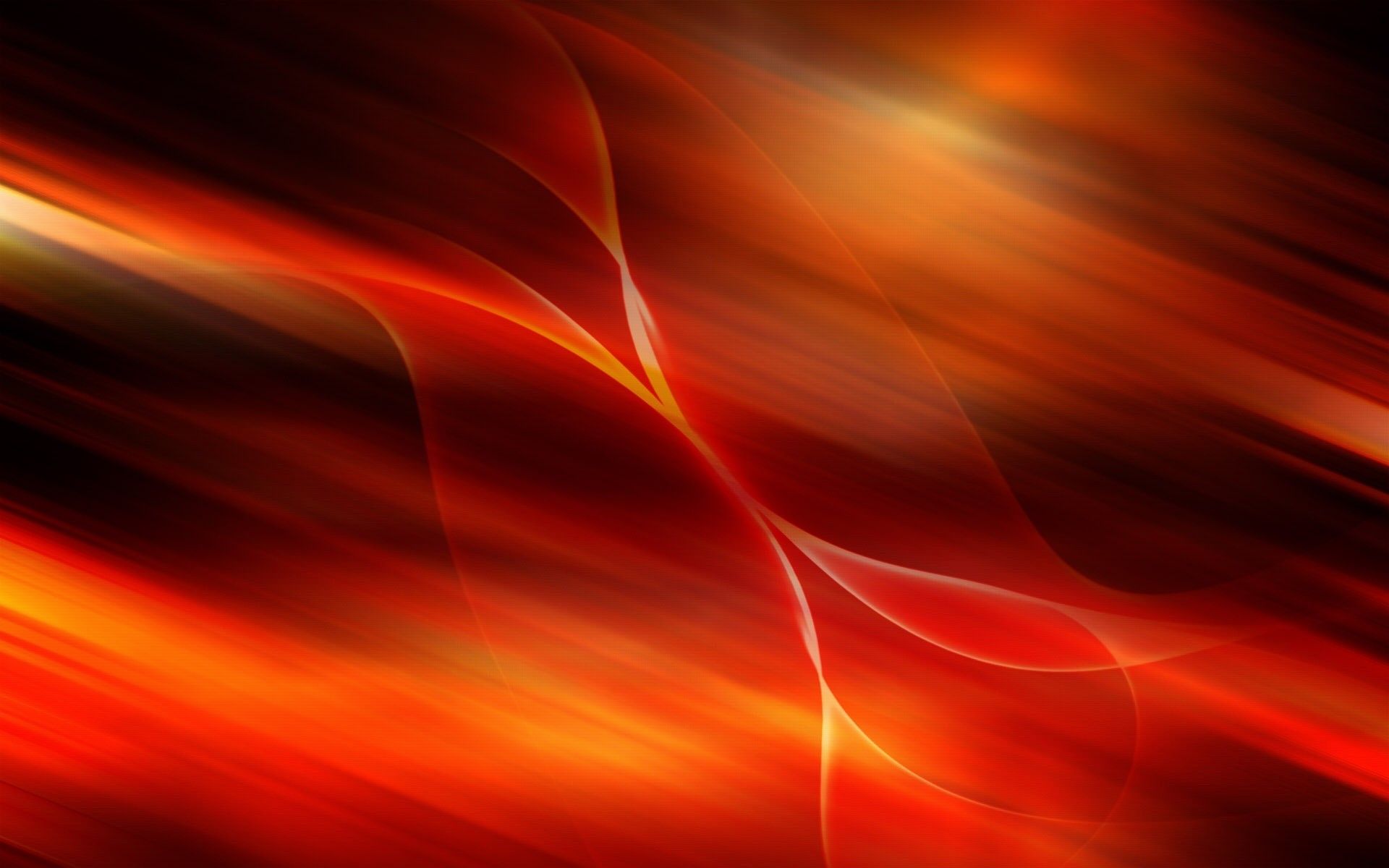 Naranja Fondos de pantalla, retratos, imágenes