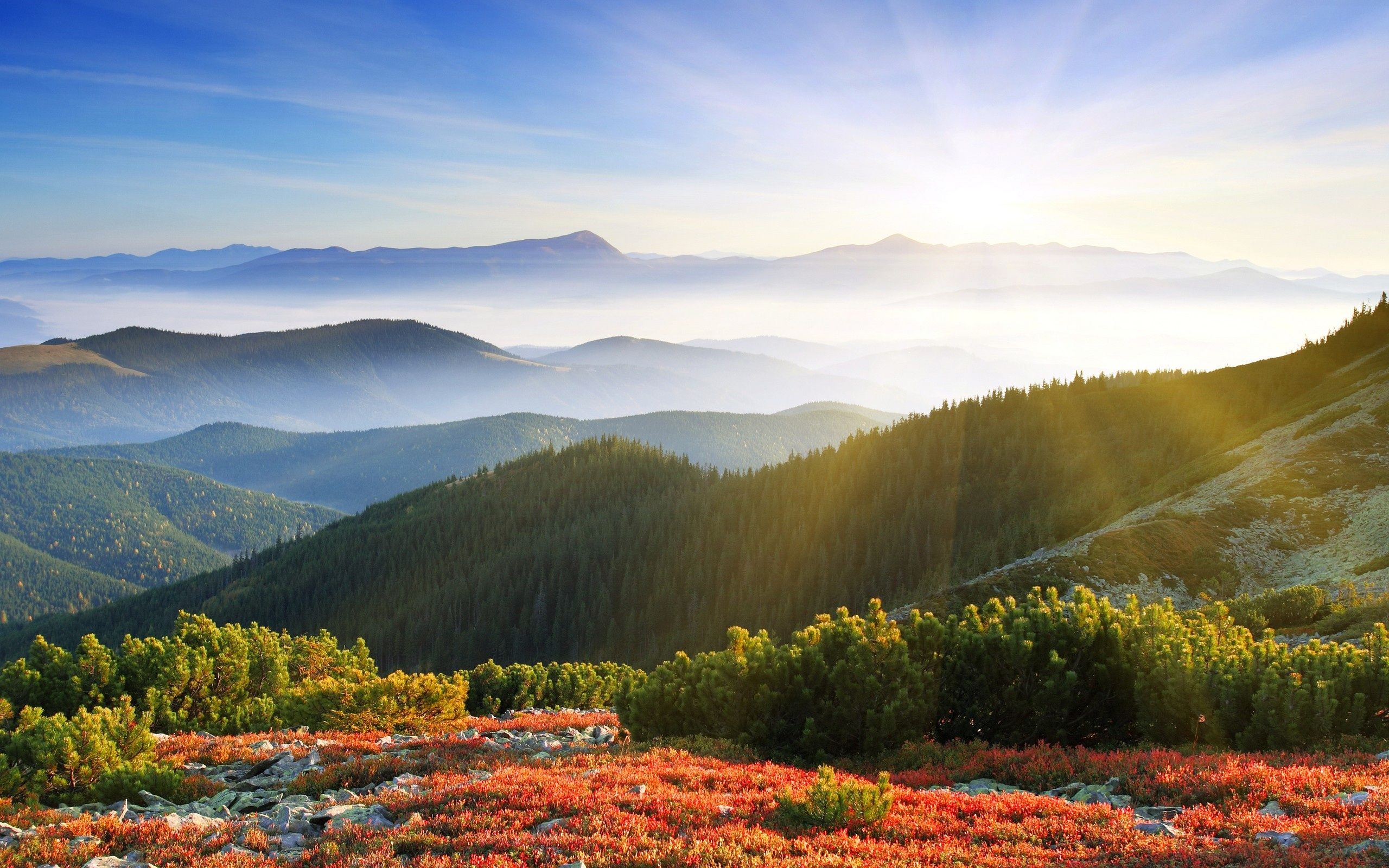 Sunrise Forest Mountains Wallpapers en formato Jpg para descargar gratis