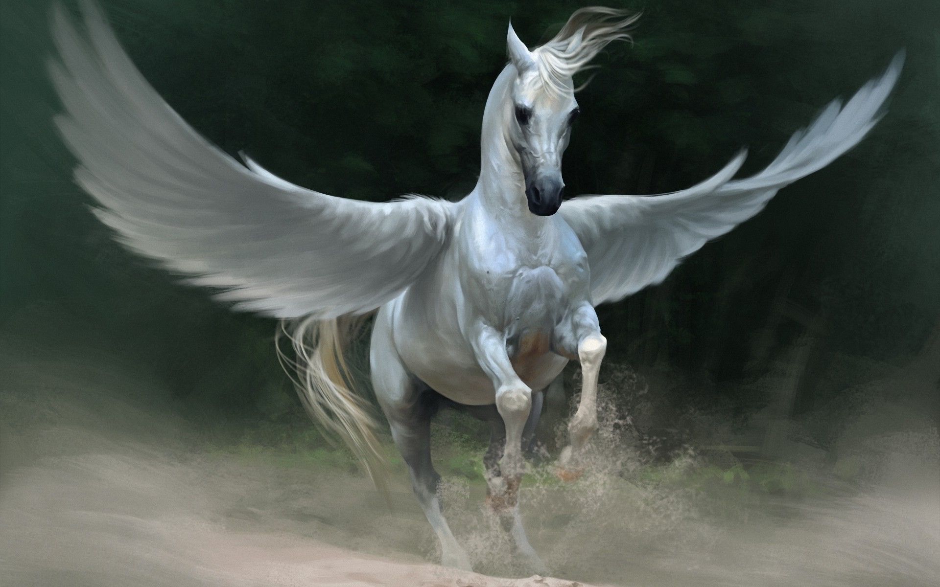 Pegasus caballo Fondos de pantalla Fotos Fotos Imágenes | En mi sueño en