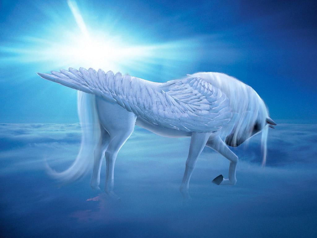 Wing with Unicorn Pegasus - Fondos de pantalla Navegar