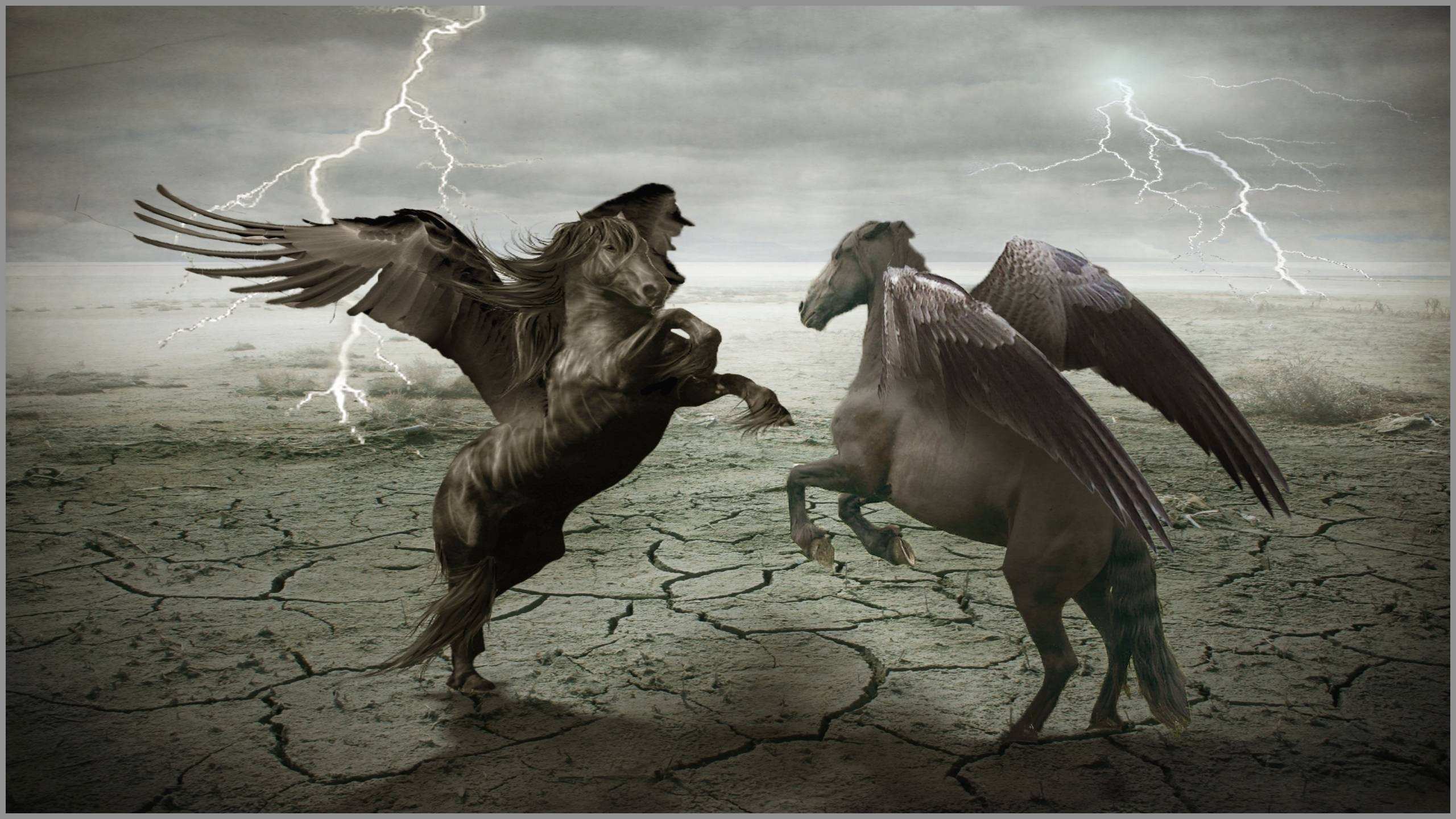 66 nuevas fotos de lanzamiento de Pegasus Wallpaper | Lo mejor de Wallpaper HD