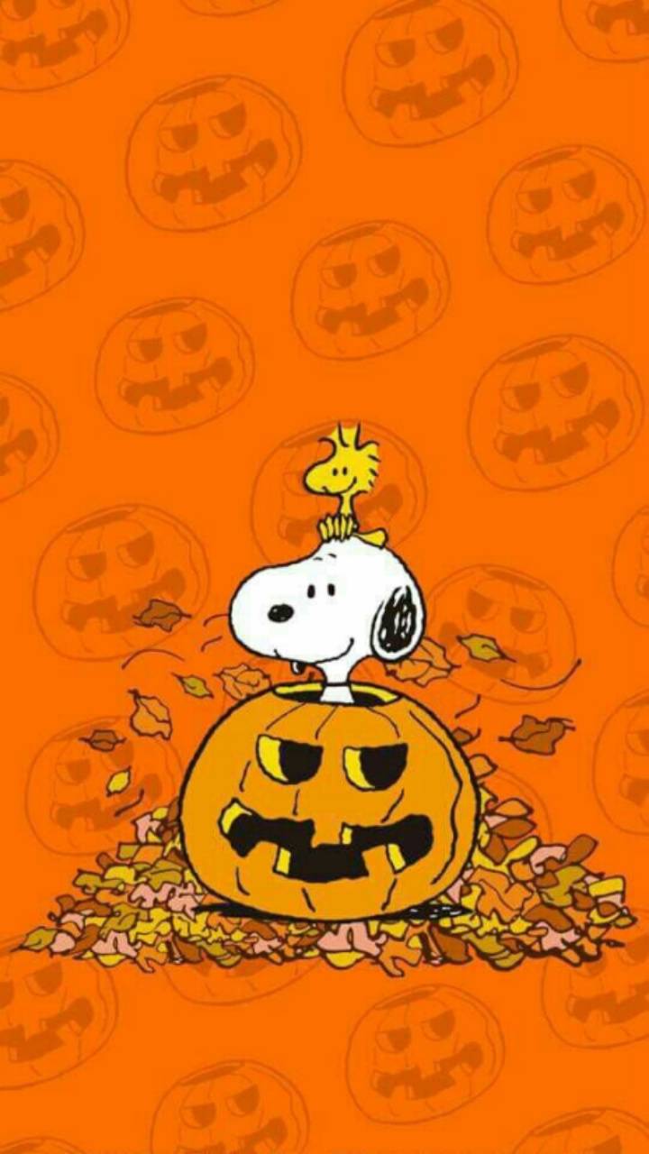 snoopy halloween Wallpaper por kaeira - d5 - Gratis en ZEDGE ™